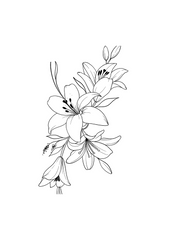 Vibrant Floral Coloring Set