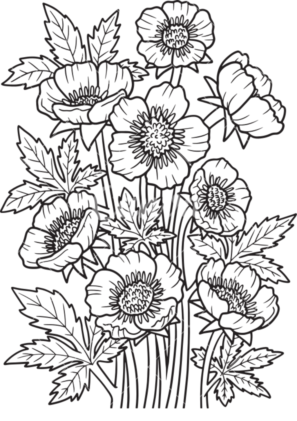 Vibrant Floral Coloring Set