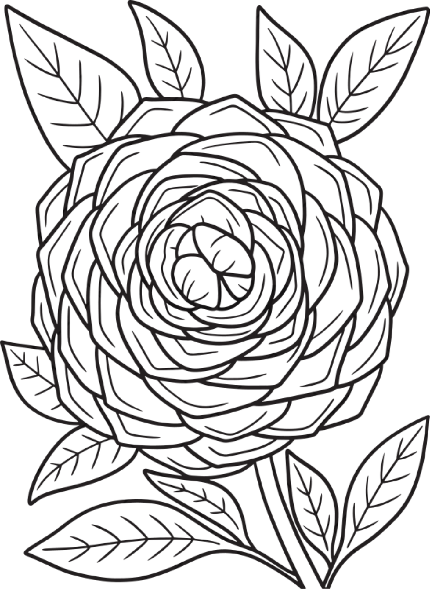 Vibrant Floral Coloring Set