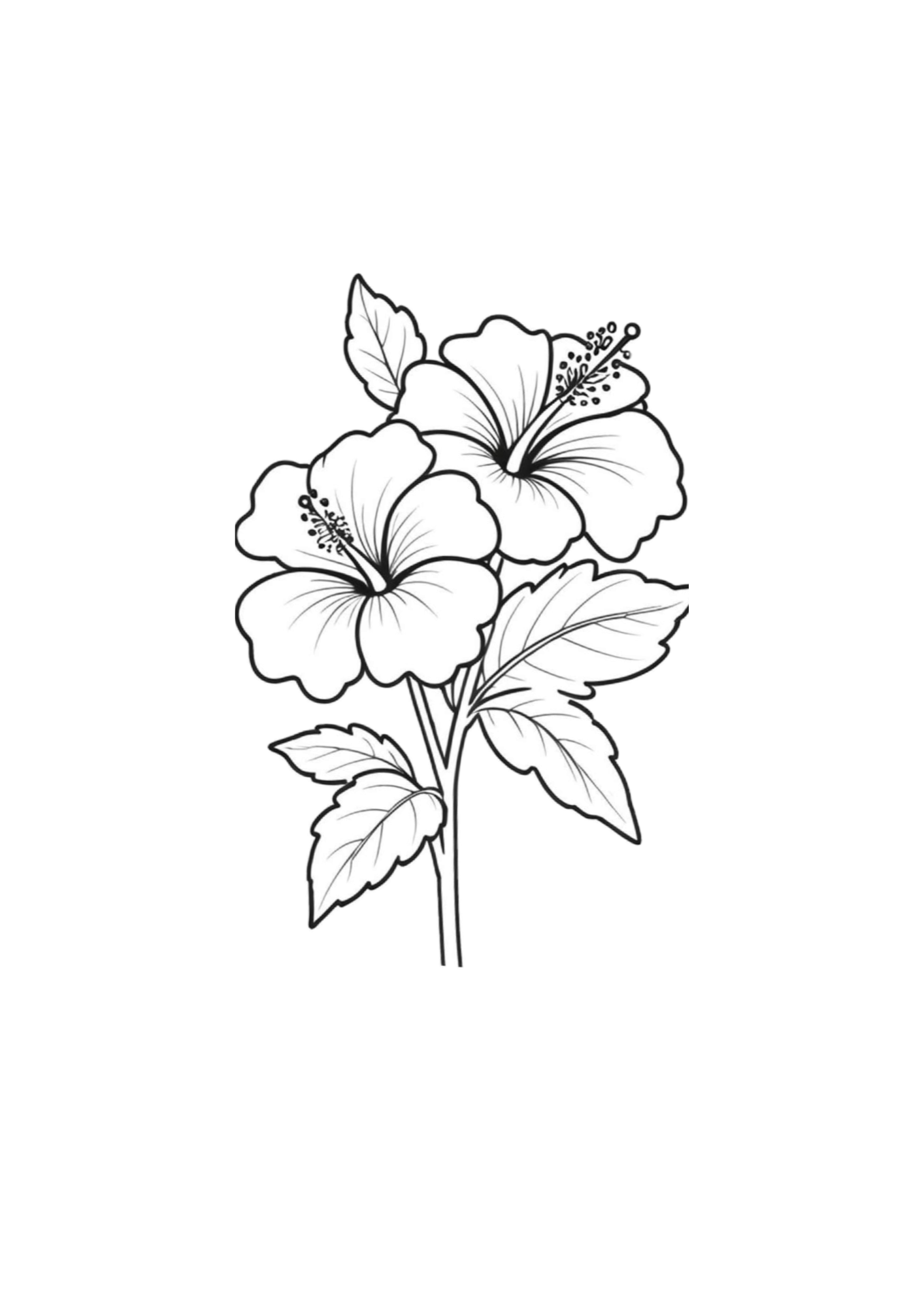 Vibrant Floral Coloring Set