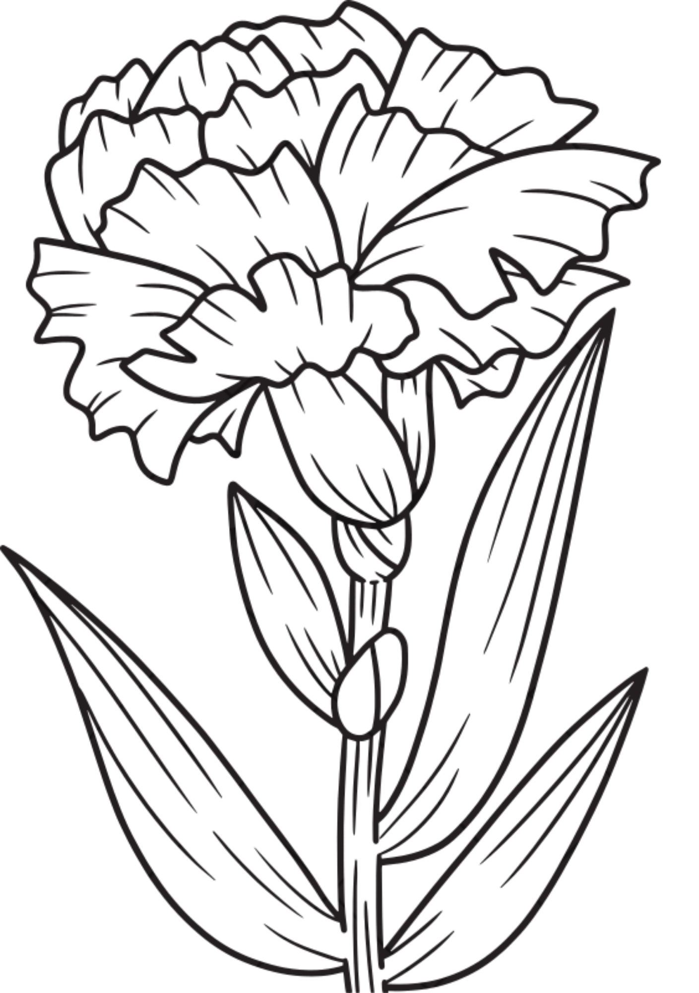 Vibrant Floral Coloring Set