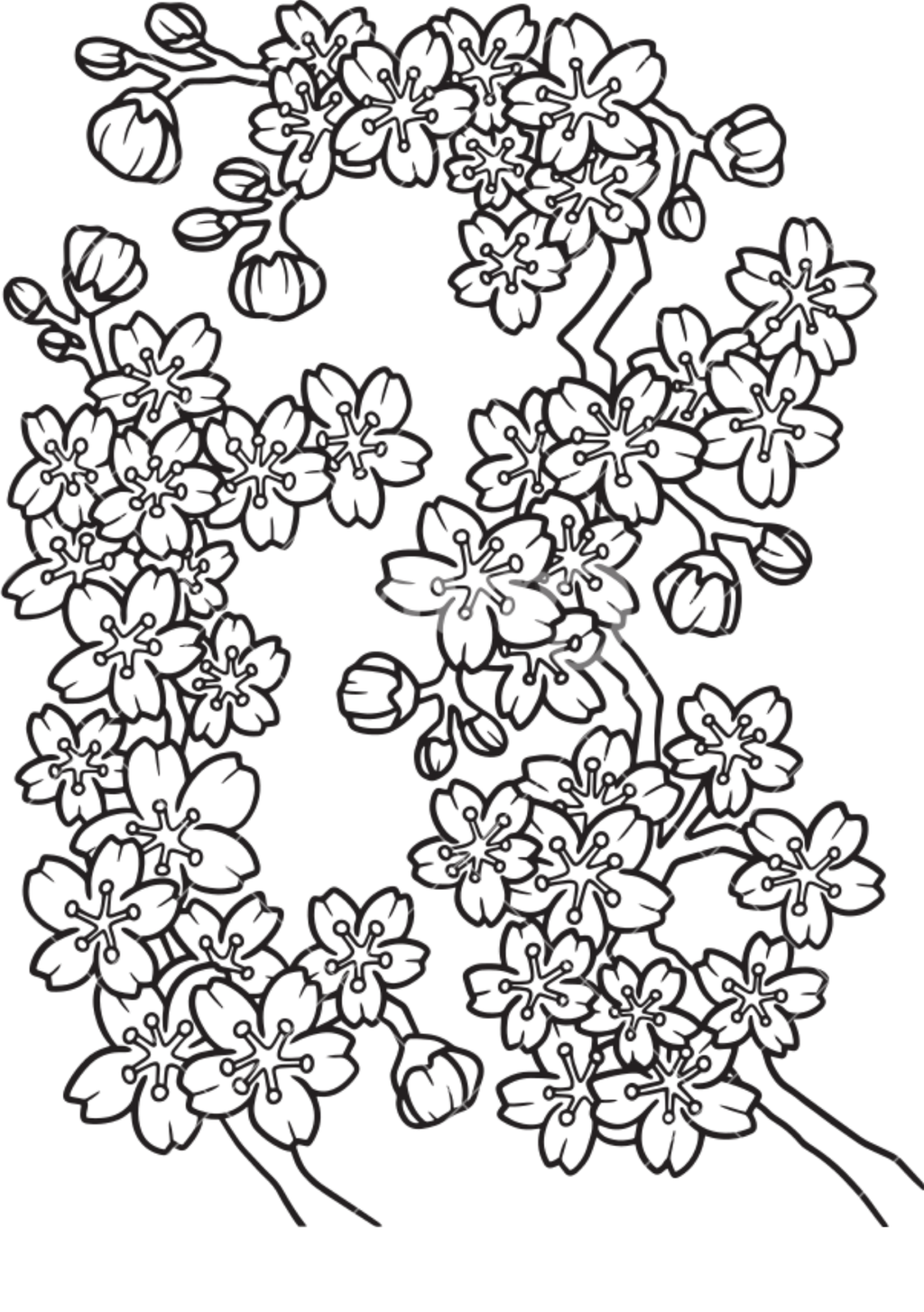 Vibrant Floral Coloring Set