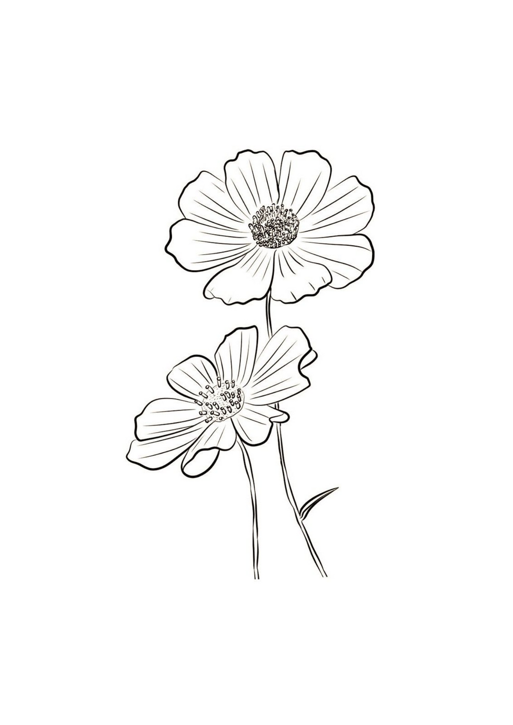 Vibrant Floral Coloring Set