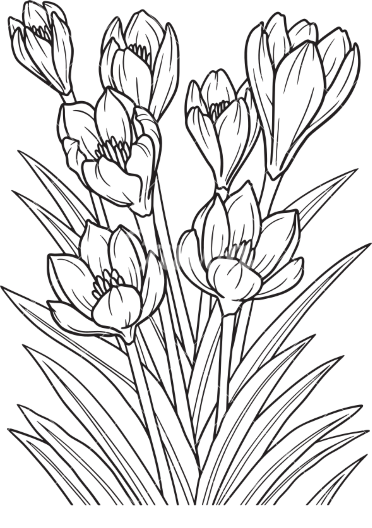 Vibrant Floral Coloring Set