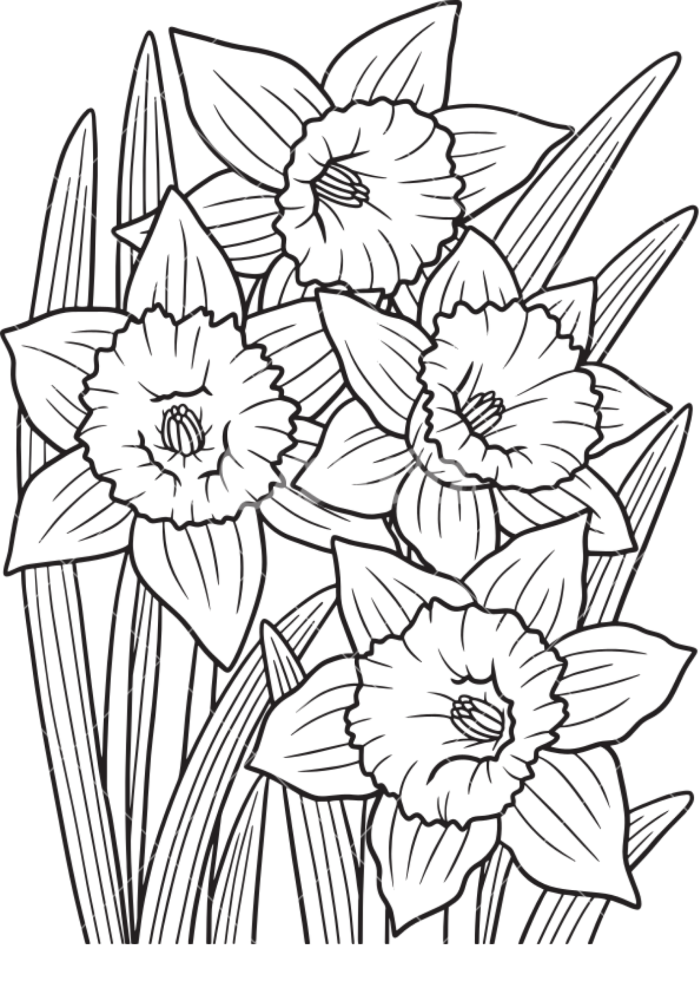 Vibrant Floral Coloring Set