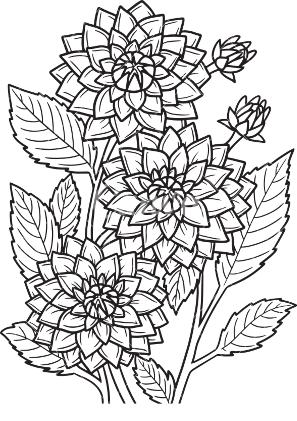 Vibrant Floral Coloring Set