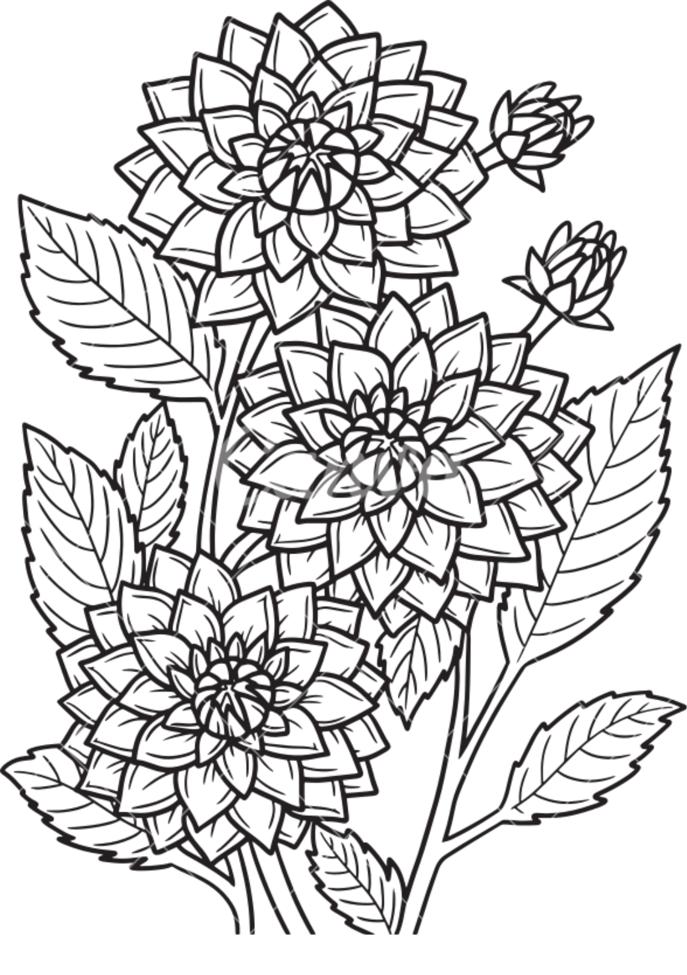 Vibrant Floral Coloring Set