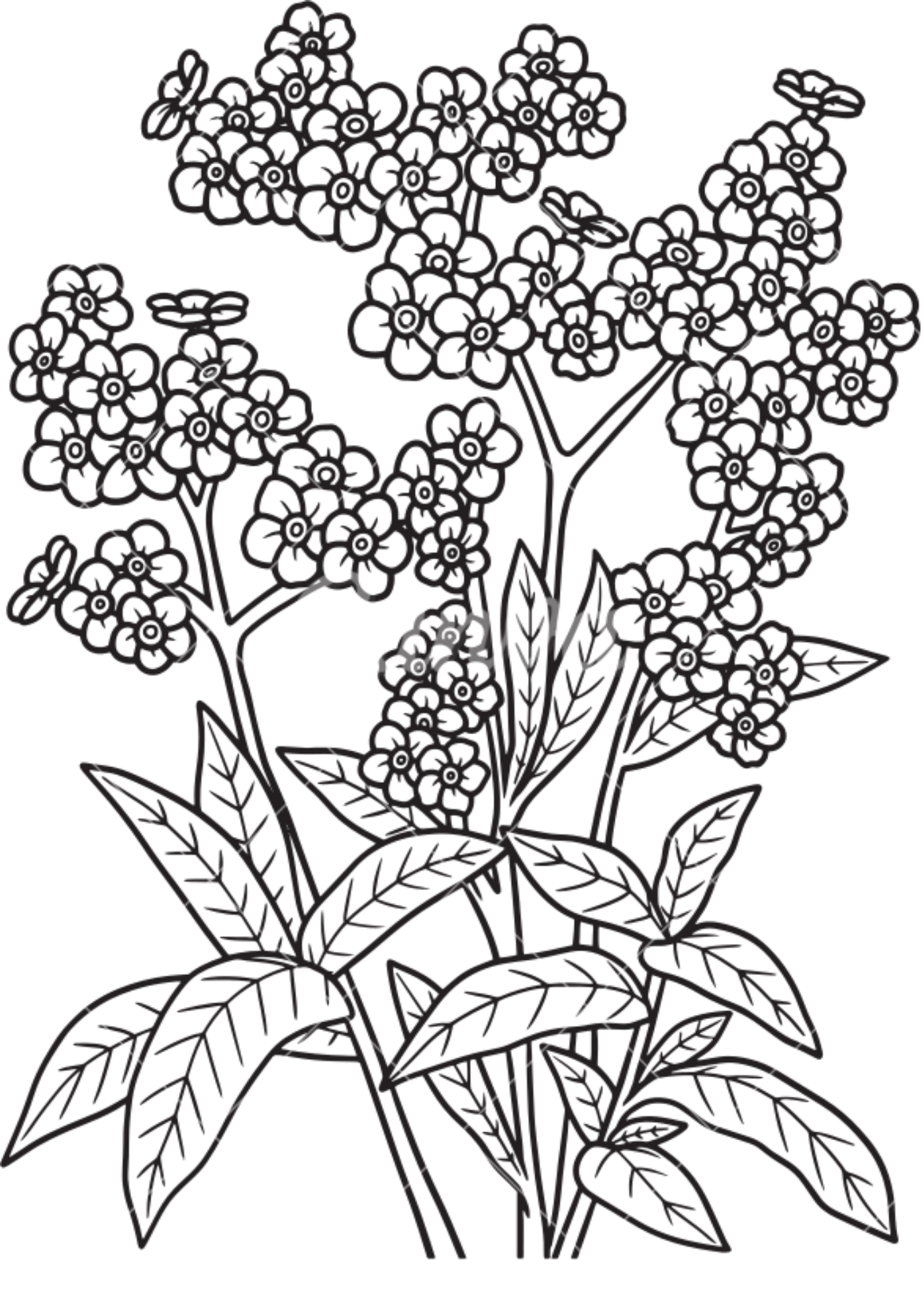 Vibrant Floral Coloring Set