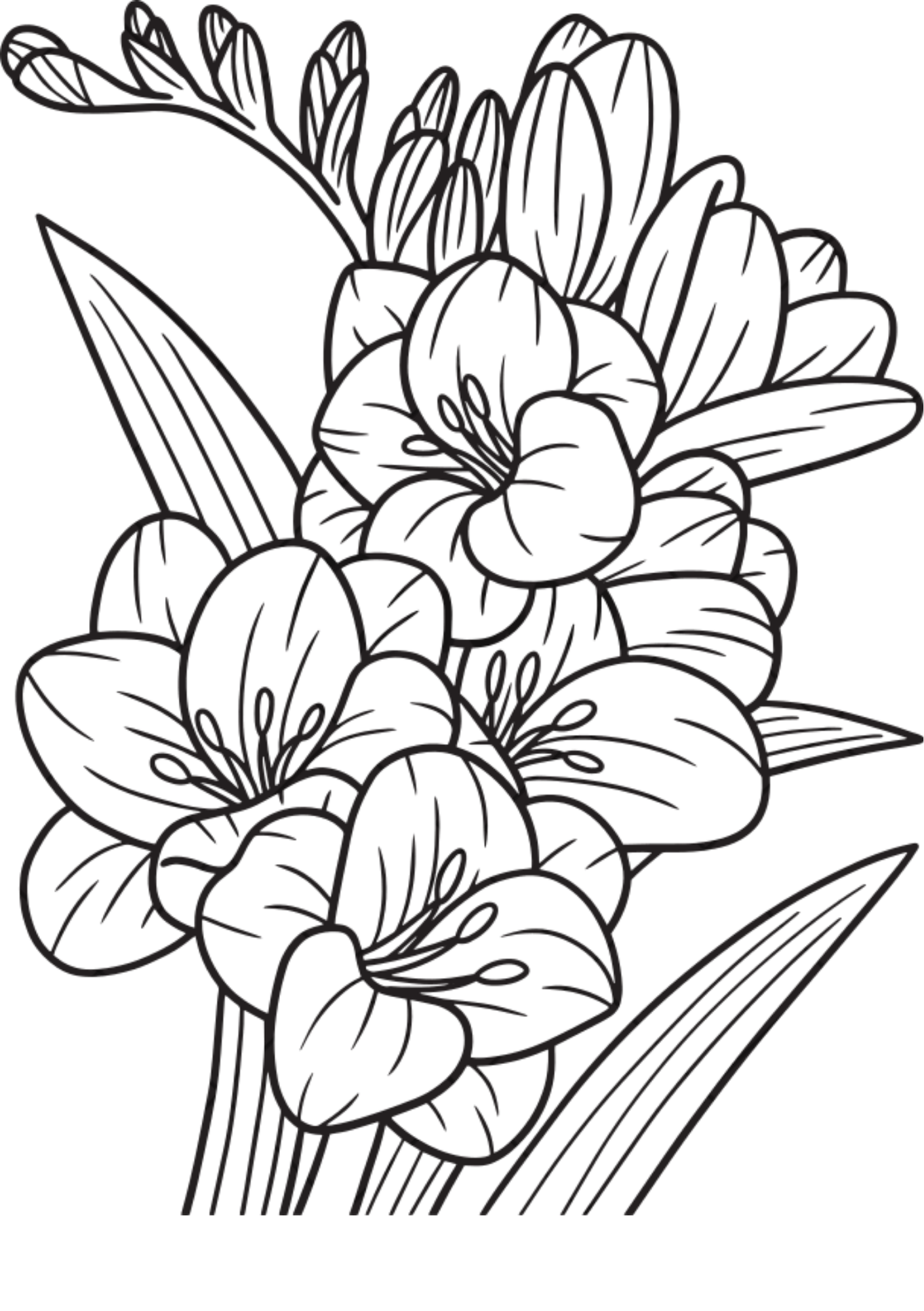 Vibrant Floral Coloring Set