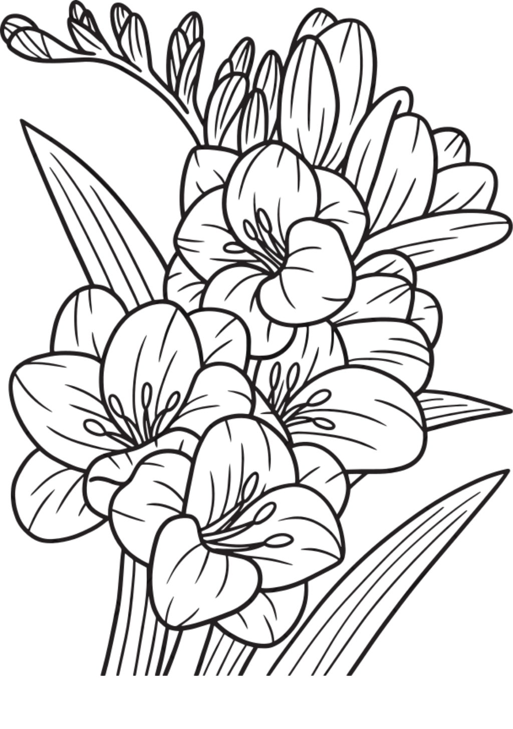 Vibrant Floral Coloring Set