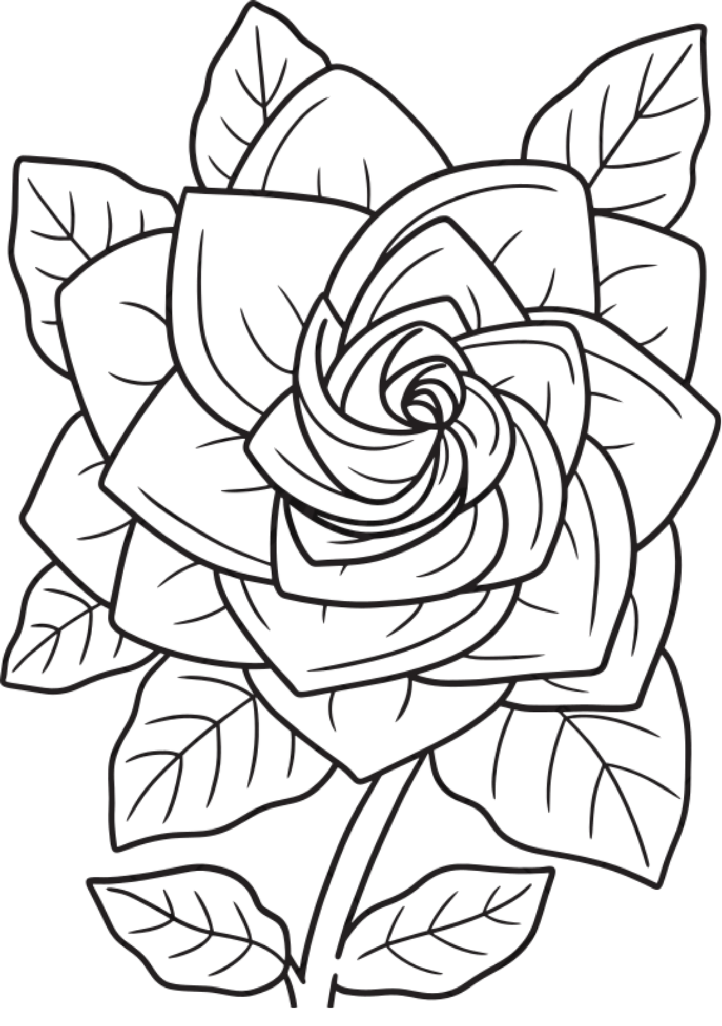 Vibrant Floral Coloring Set