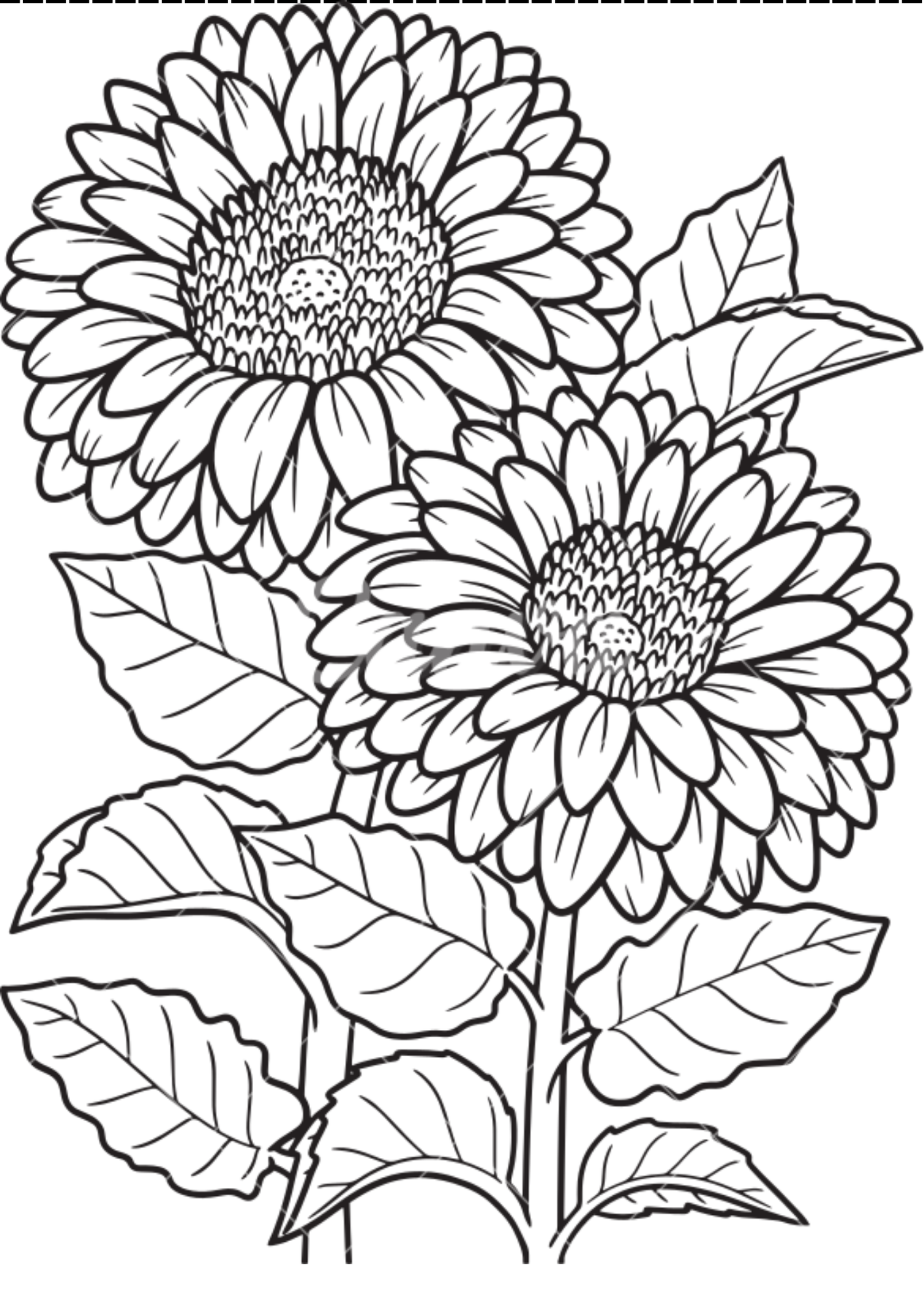 Vibrant Floral Coloring Set