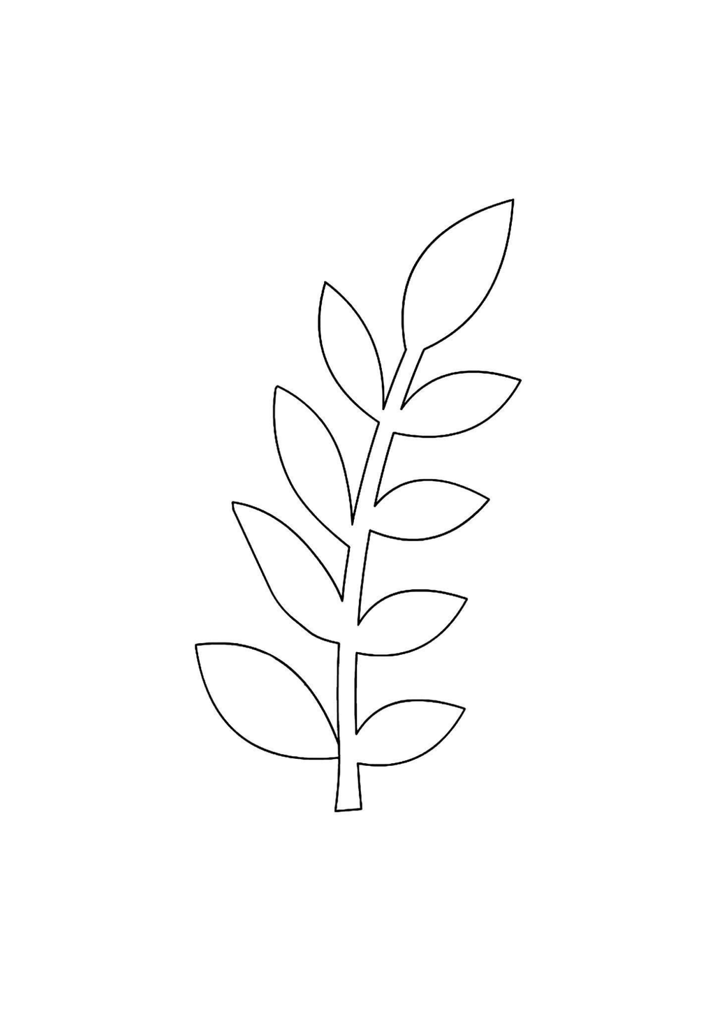 Vibrant Floral Coloring Set