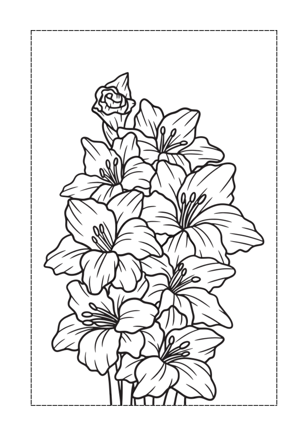 Vibrant Floral Coloring Set