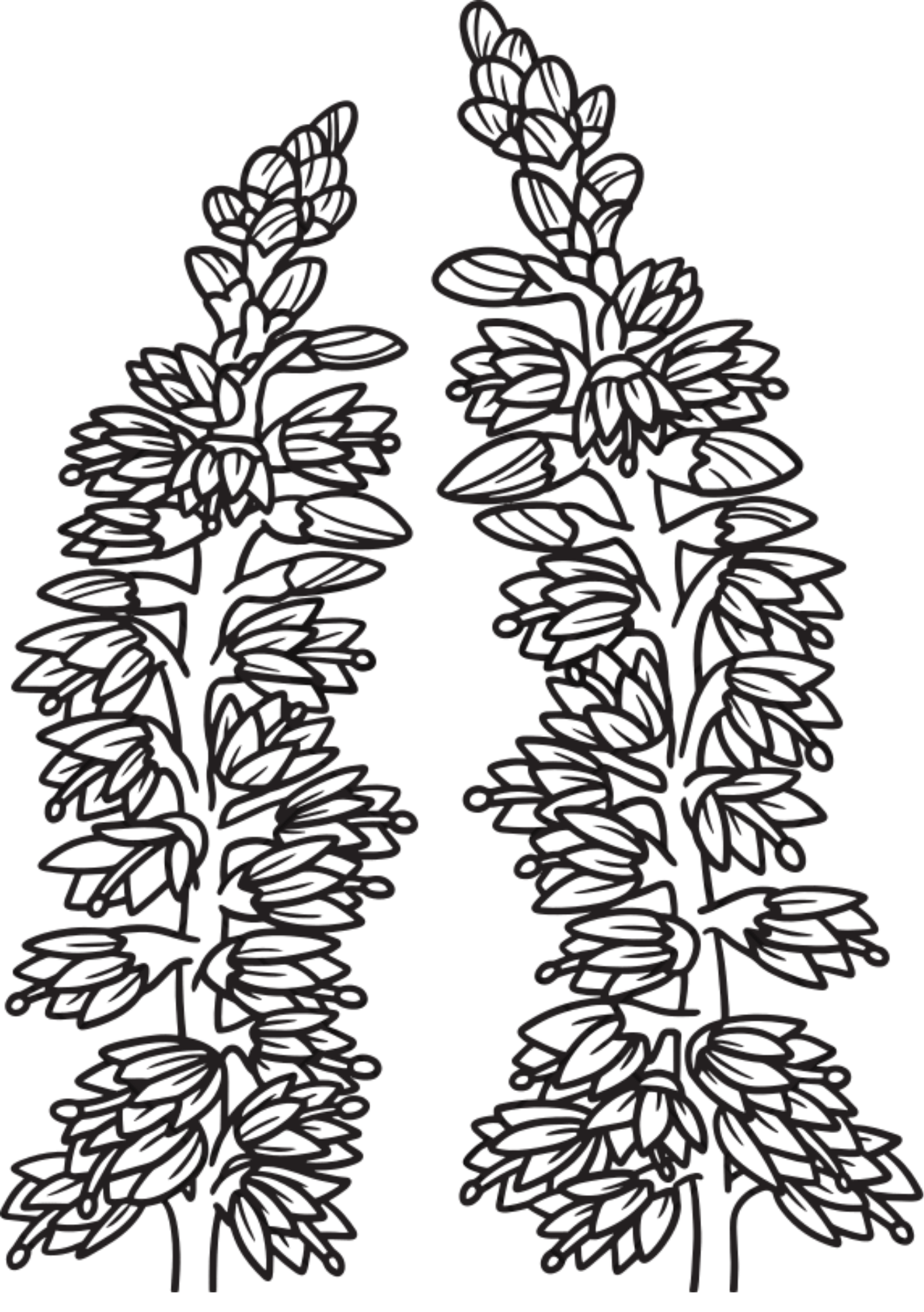 Vibrant Floral Coloring Set