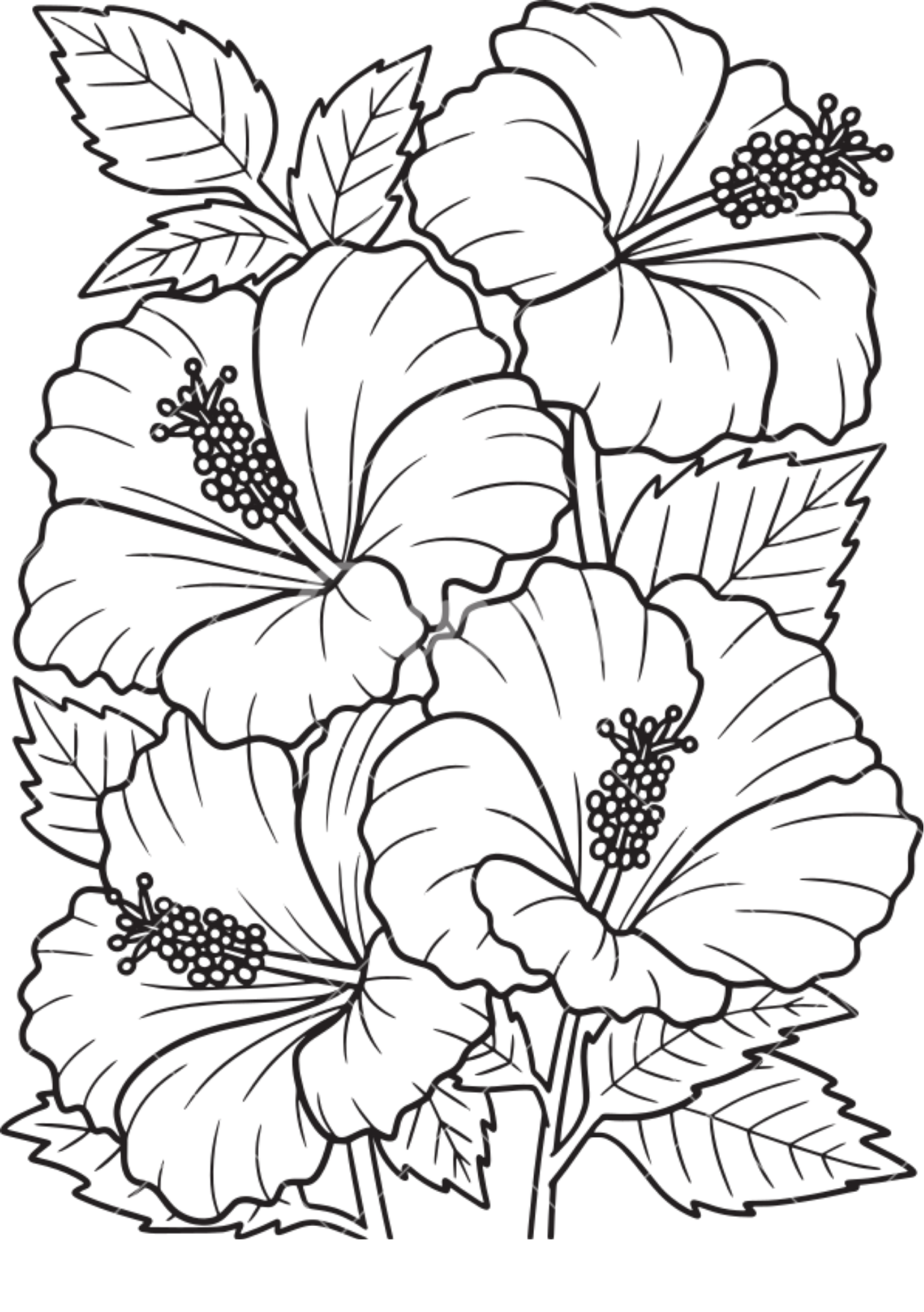 Vibrant Floral Coloring Set