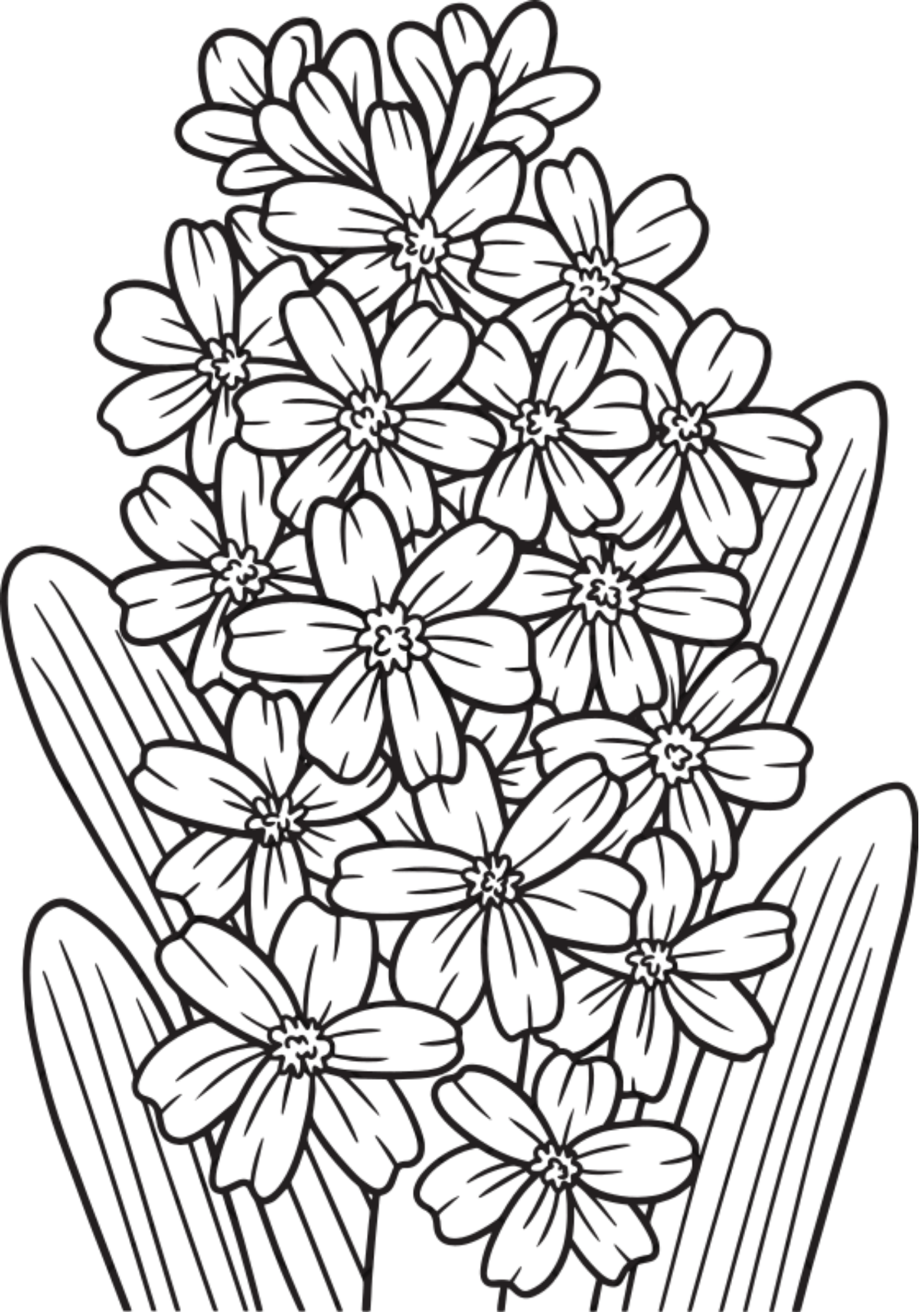 Vibrant Floral Coloring Set