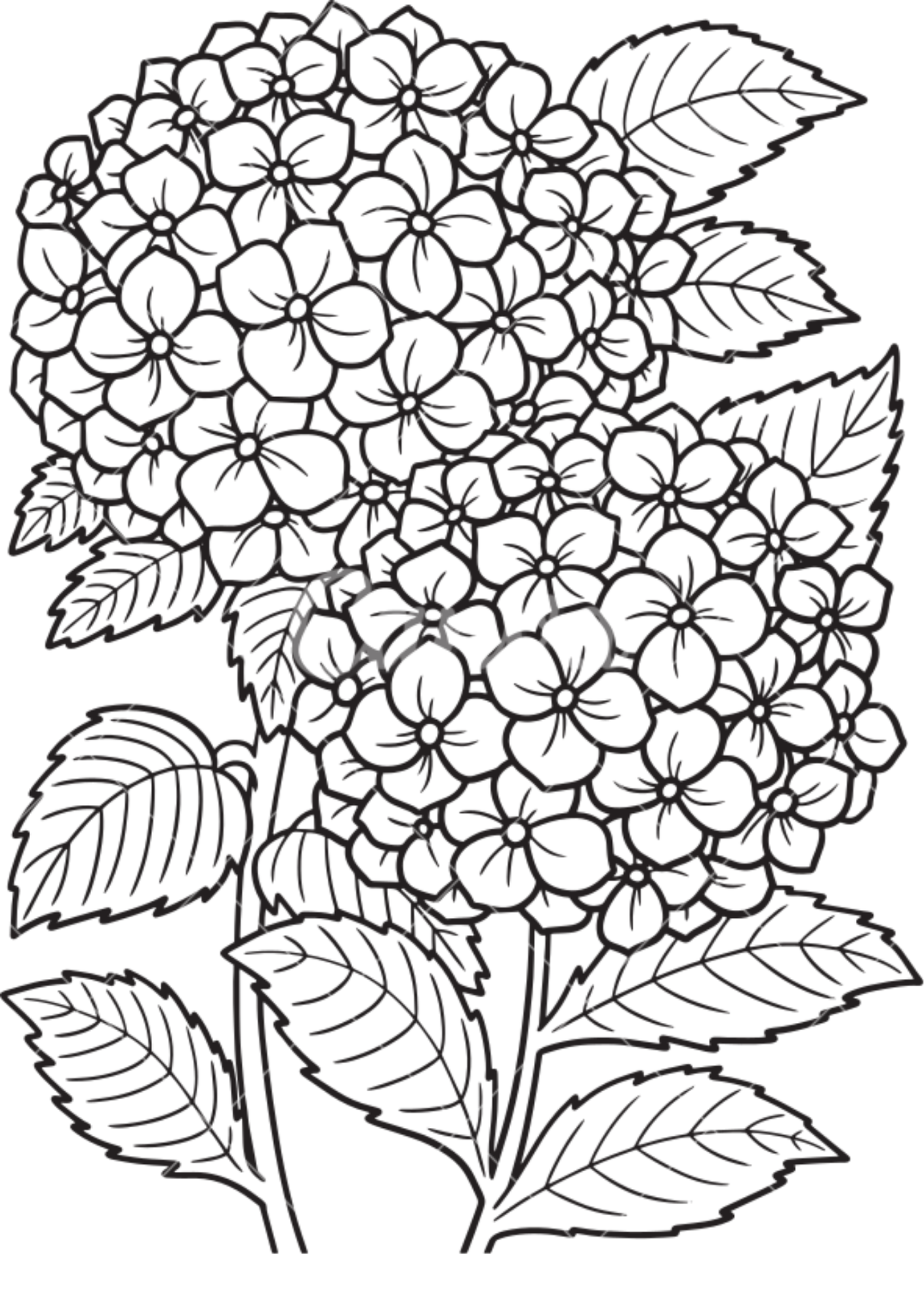 Vibrant Floral Coloring Set