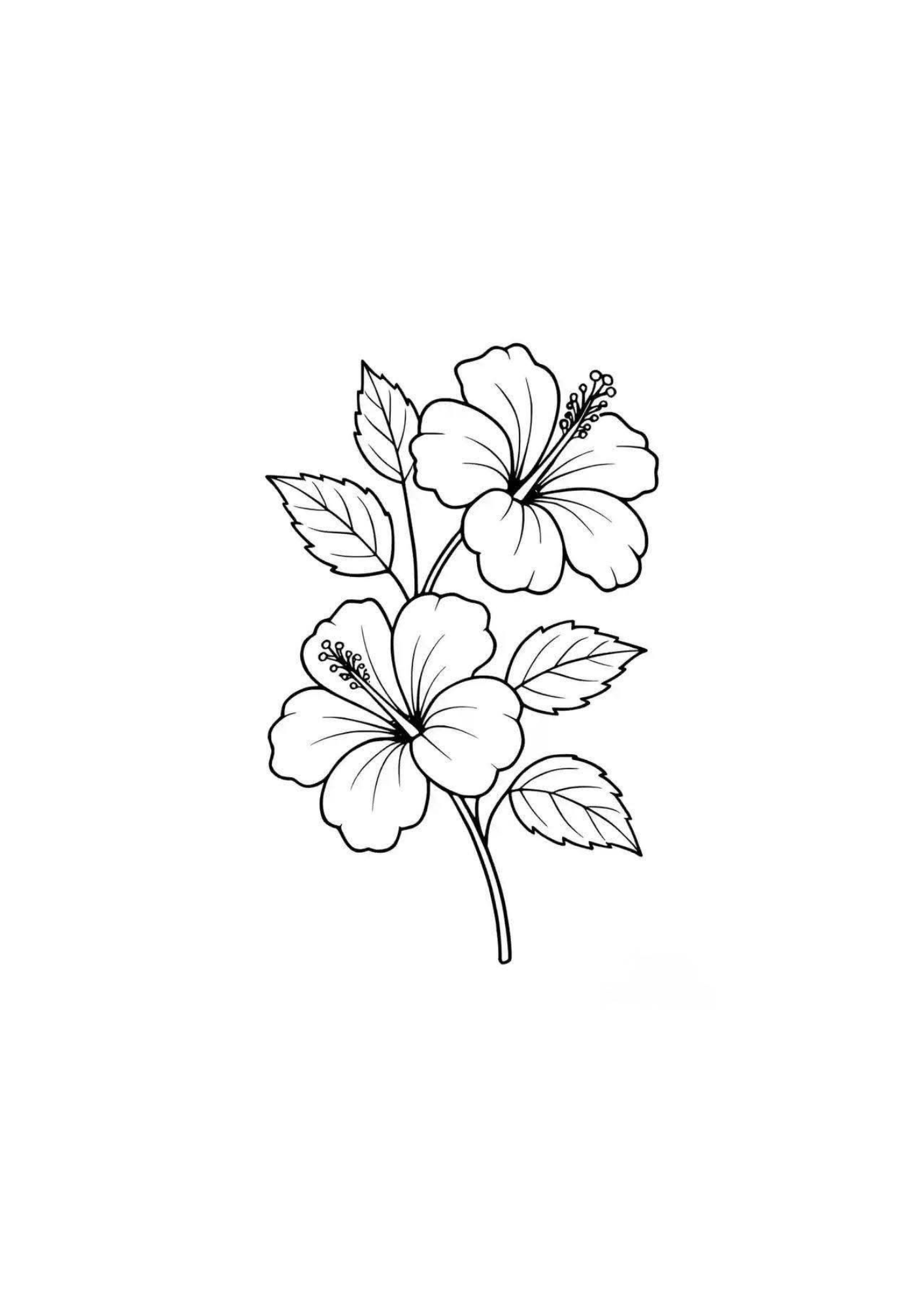 Vibrant Floral Coloring Set