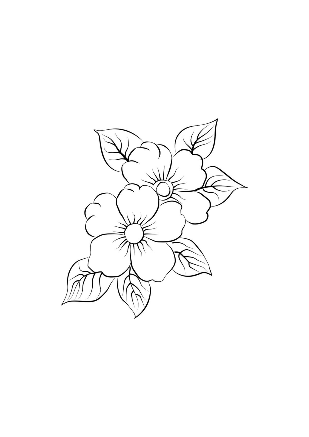 Vibrant Floral Coloring Set