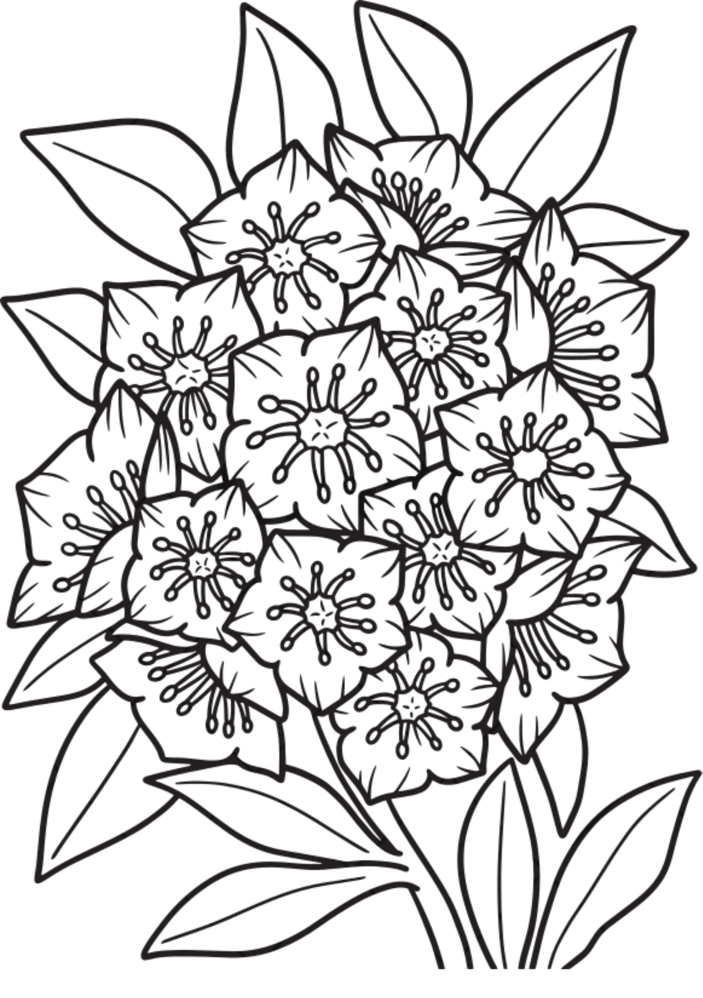 Vibrant Floral Coloring Set