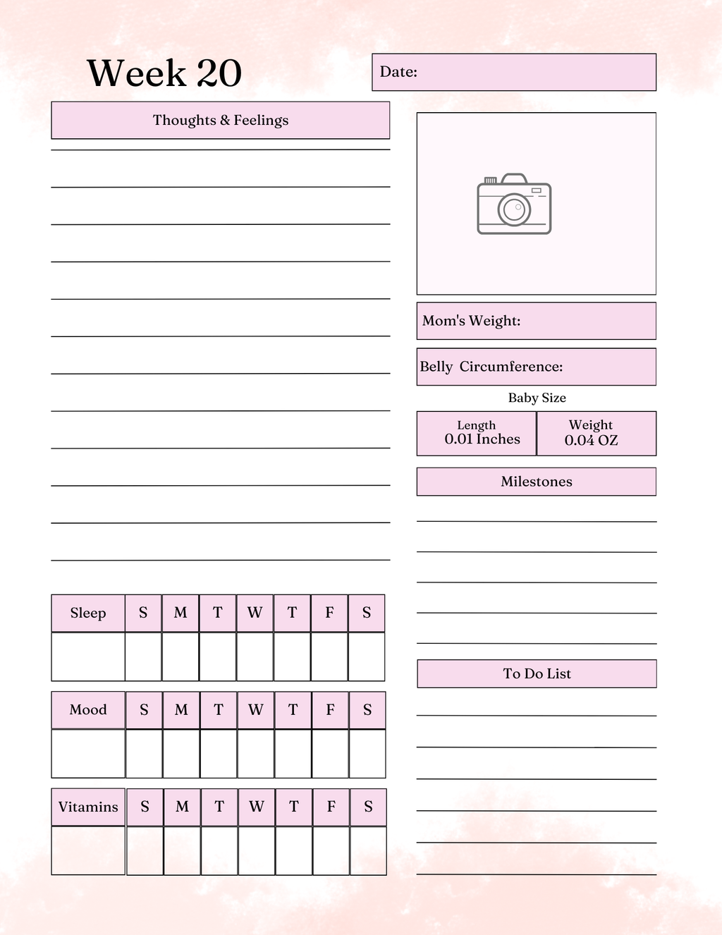 Pregnancy Essentials  Kit