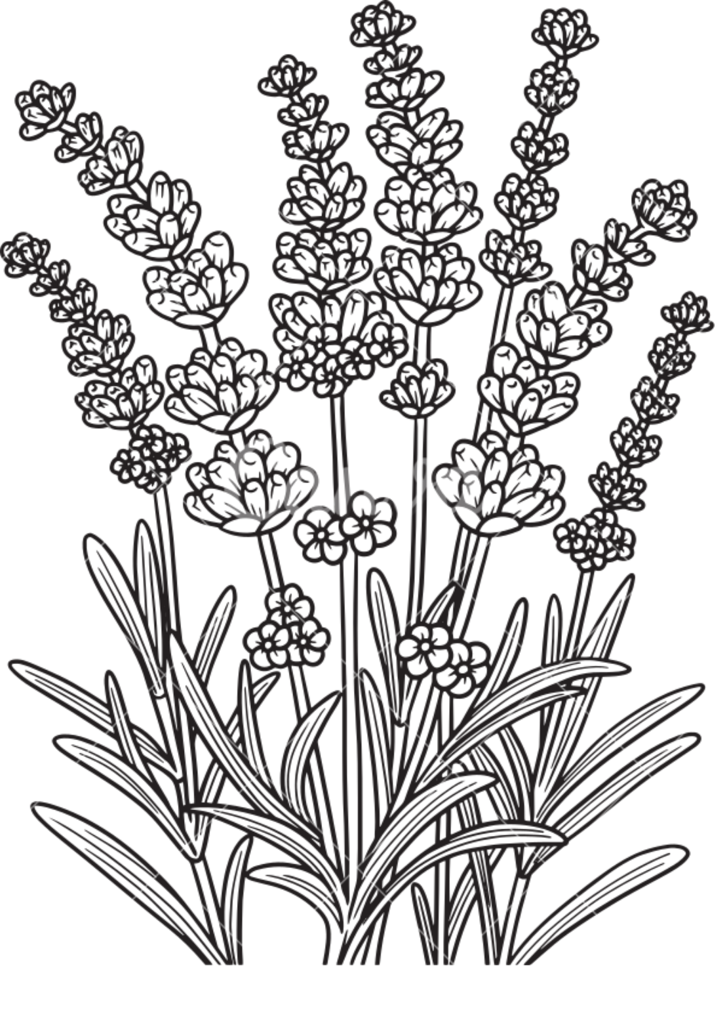 Vibrant Floral Coloring Set