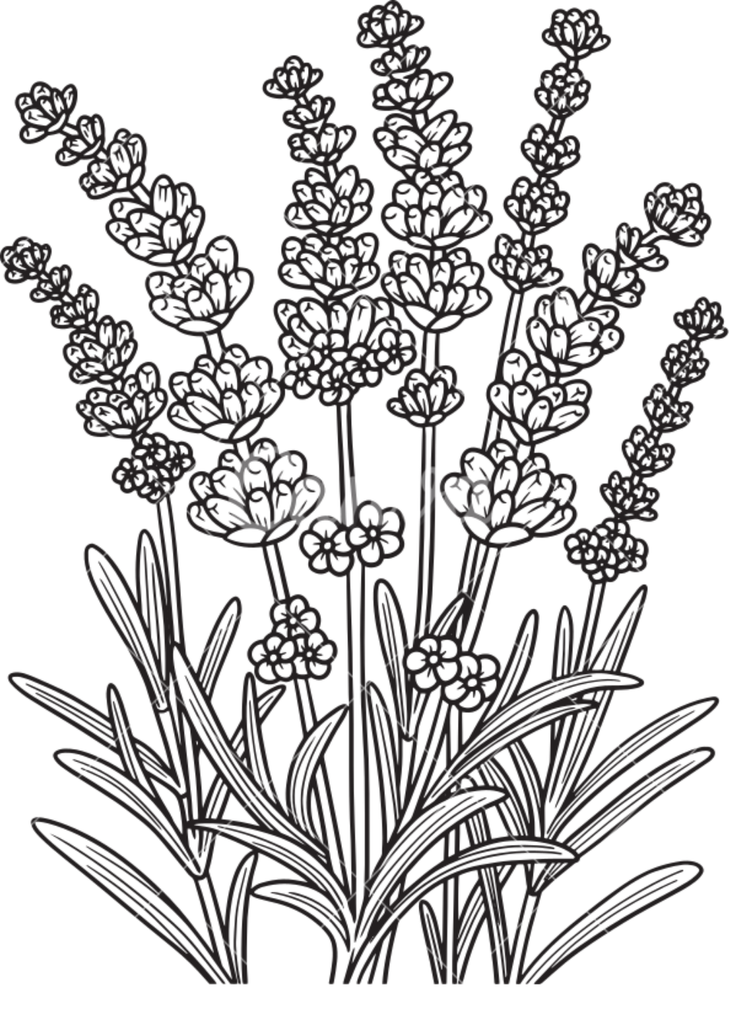 Vibrant Floral Coloring Set