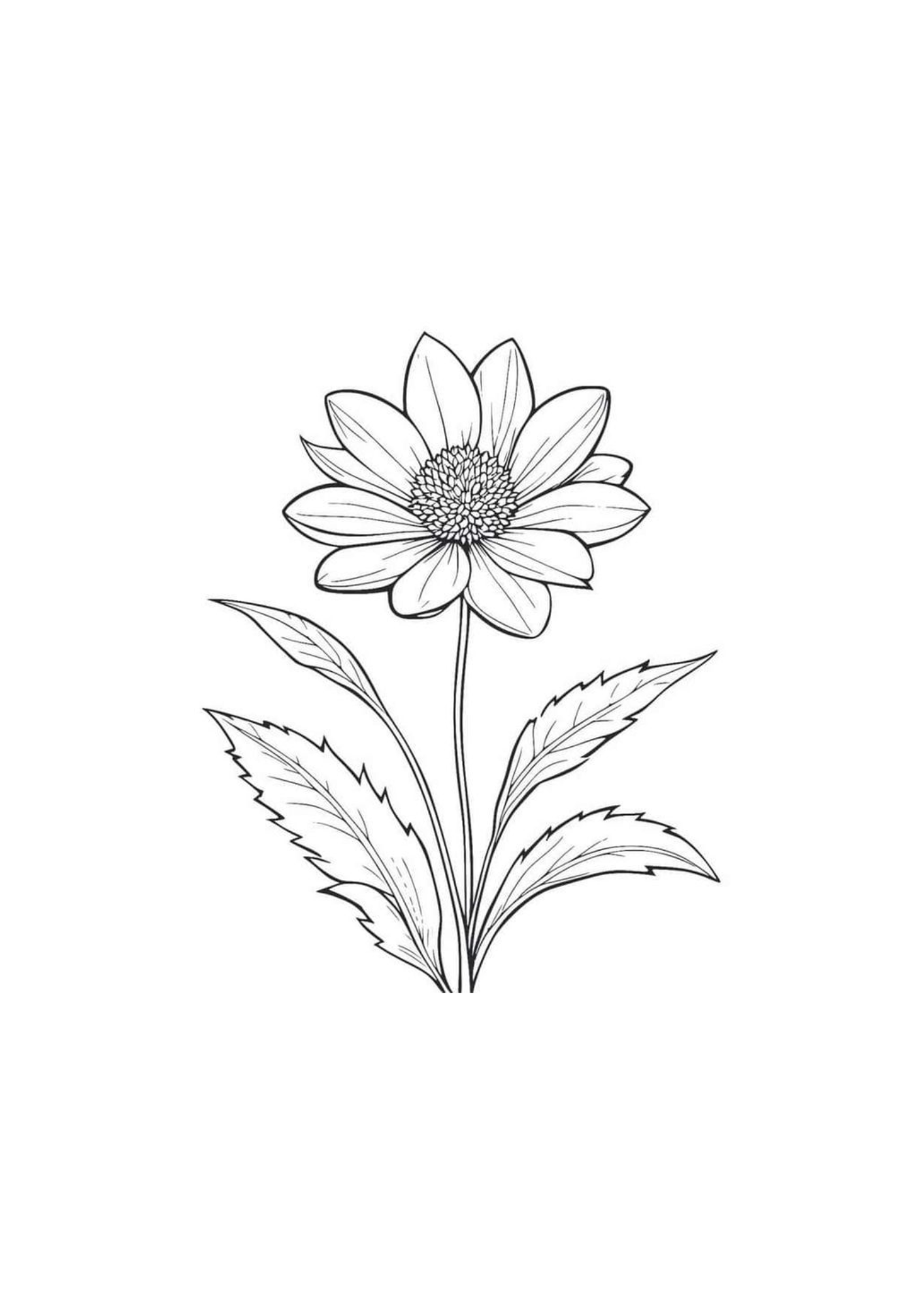 Vibrant Floral Coloring Set