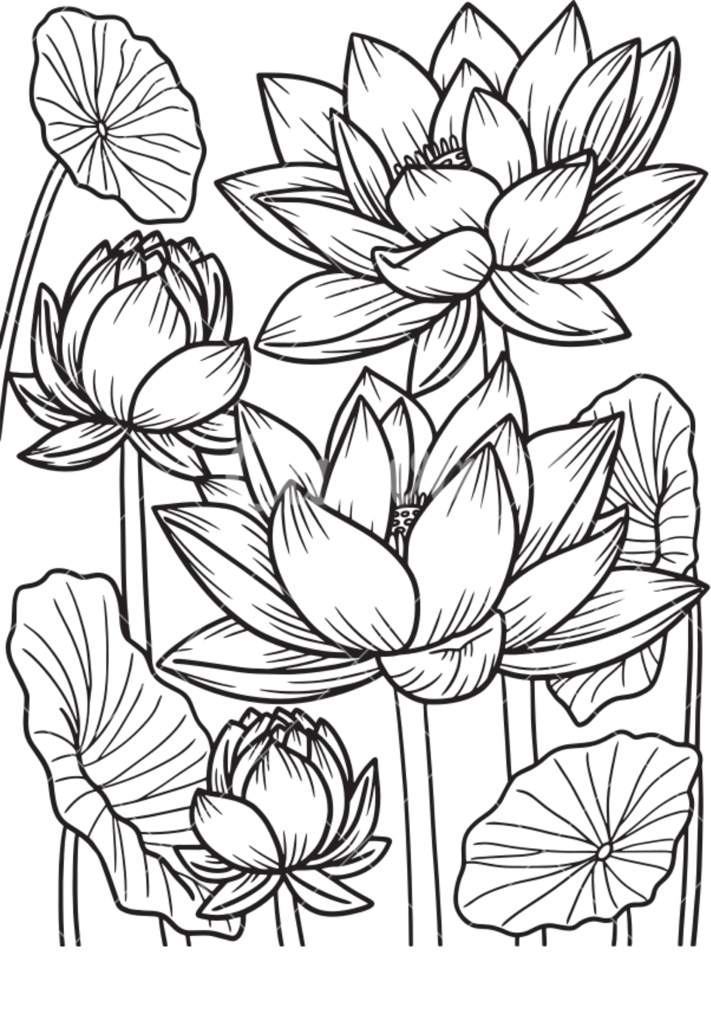 Vibrant Floral Coloring Set