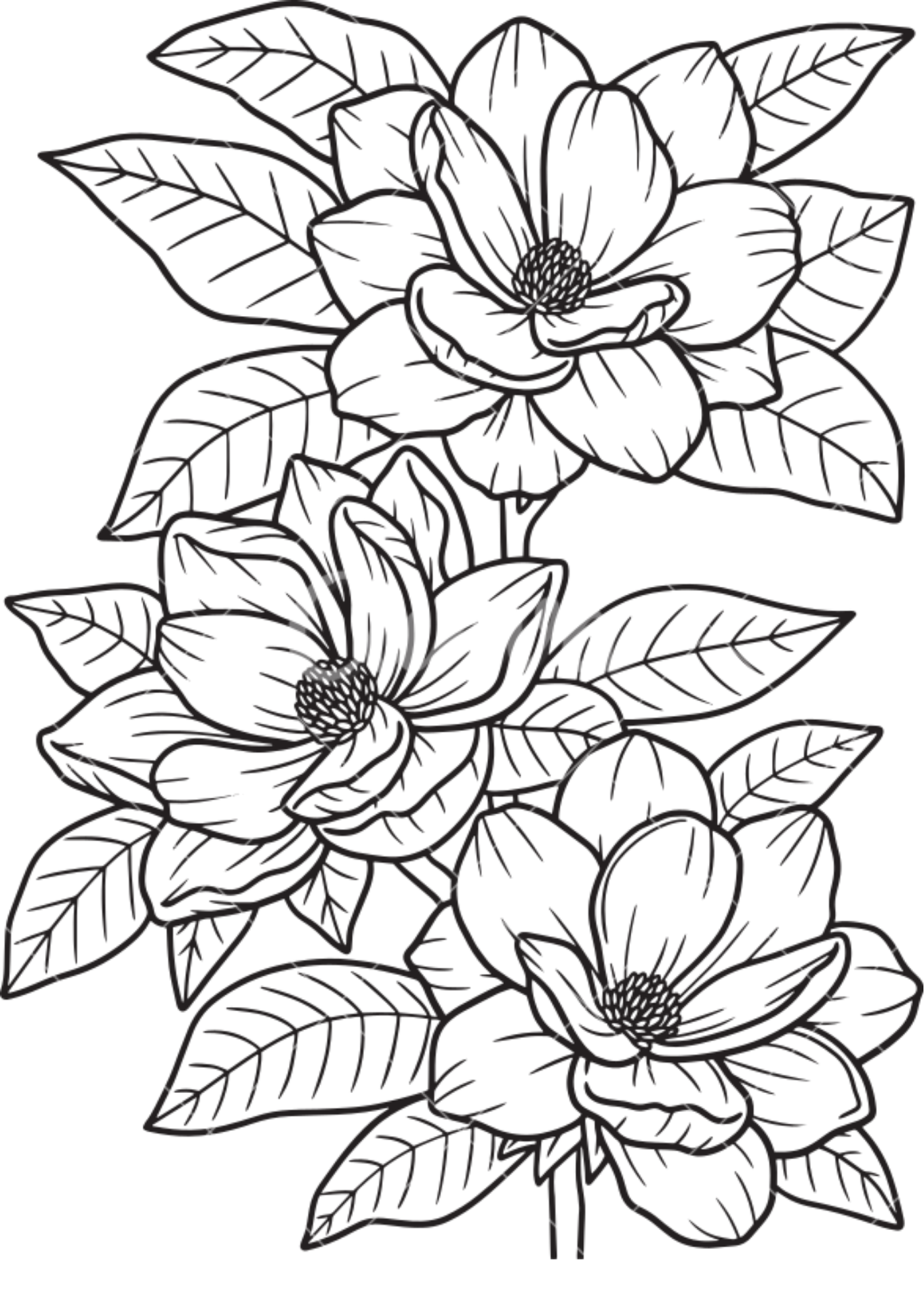 Vibrant Floral Coloring Set