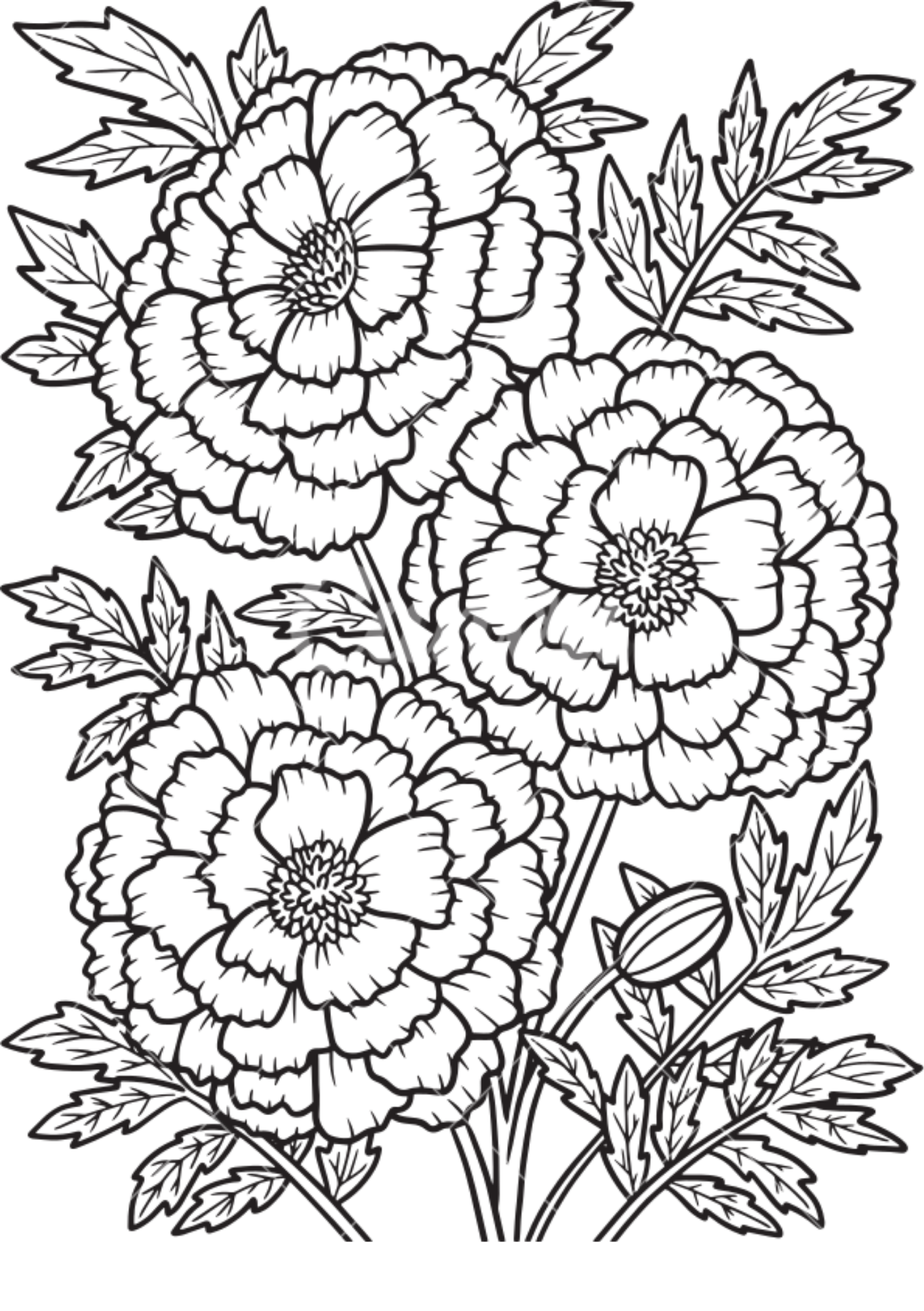 Vibrant Floral Coloring Set