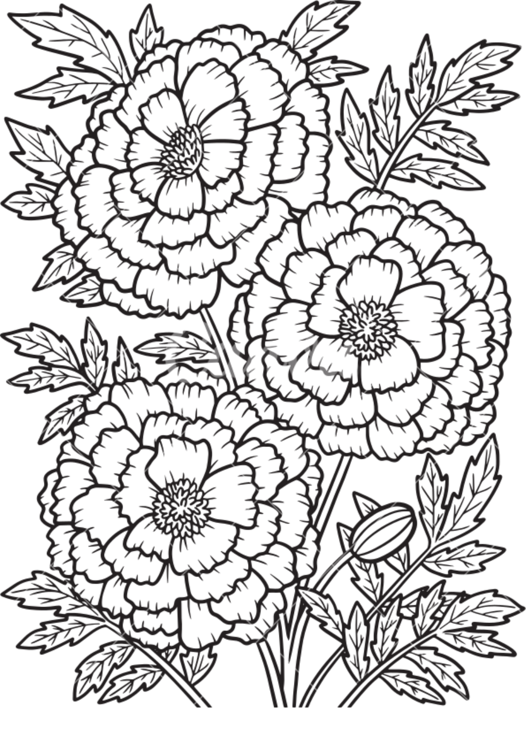 Vibrant Floral Coloring Set