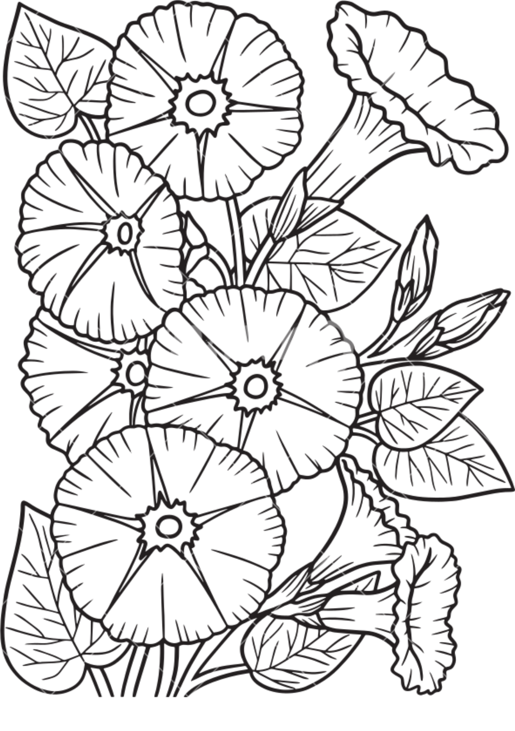 Vibrant Floral Coloring Set