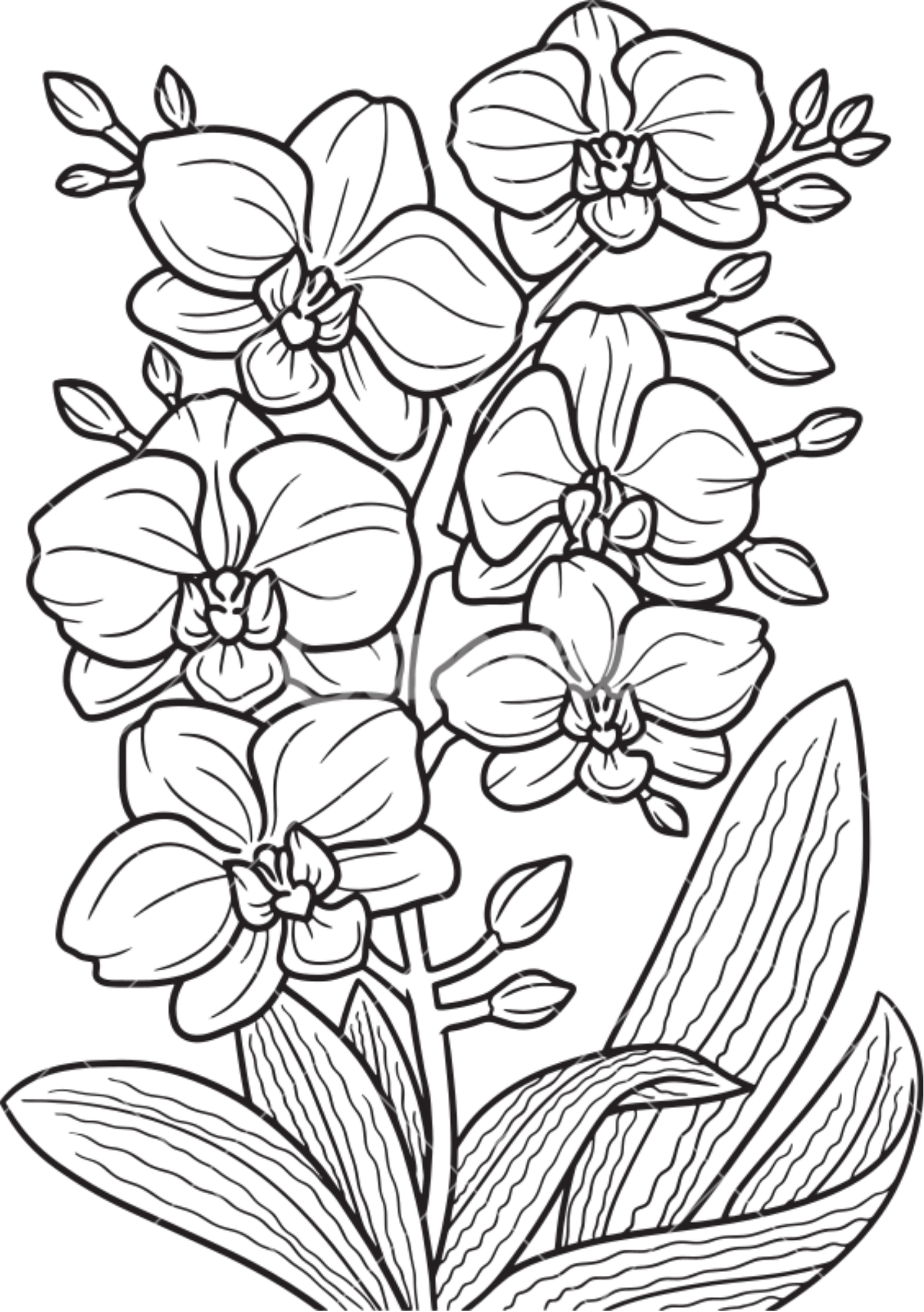 Vibrant Floral Coloring Set