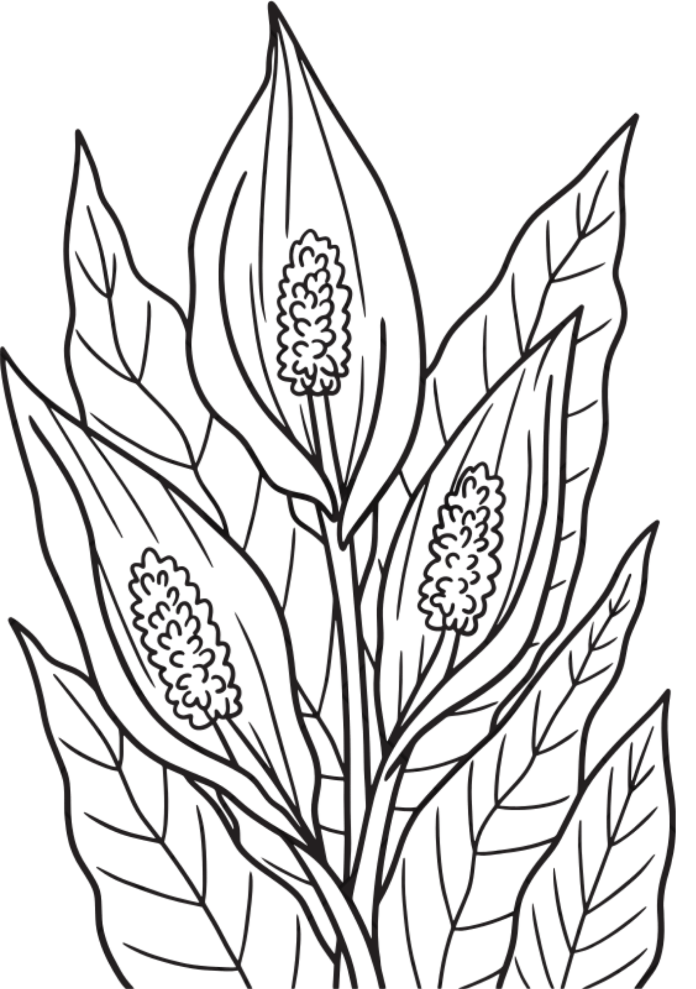 Vibrant Floral Coloring Set