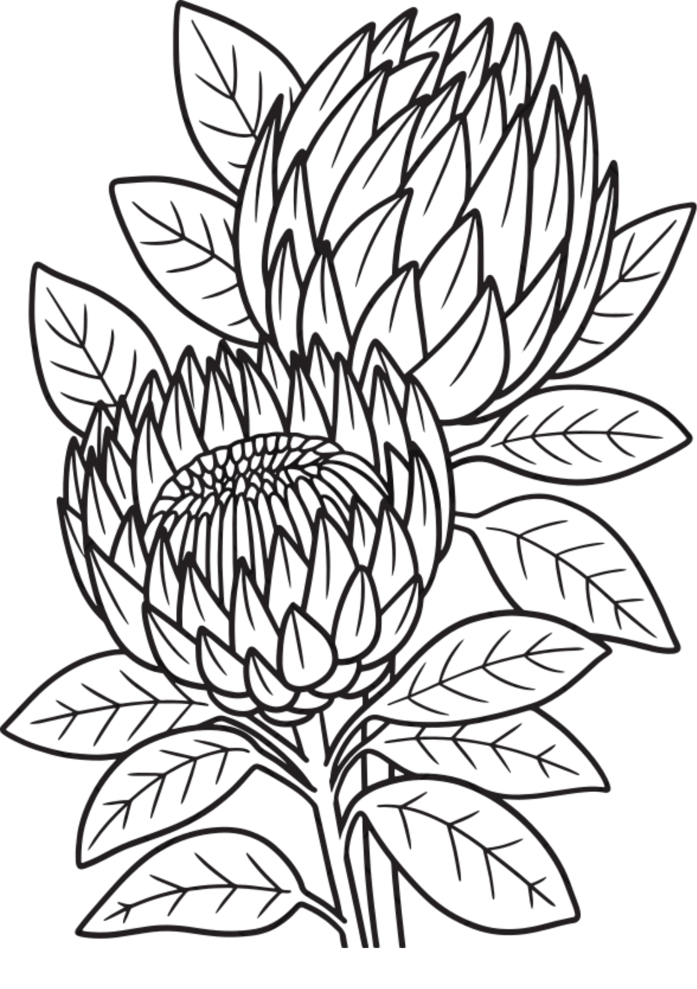 Vibrant Floral Coloring Set