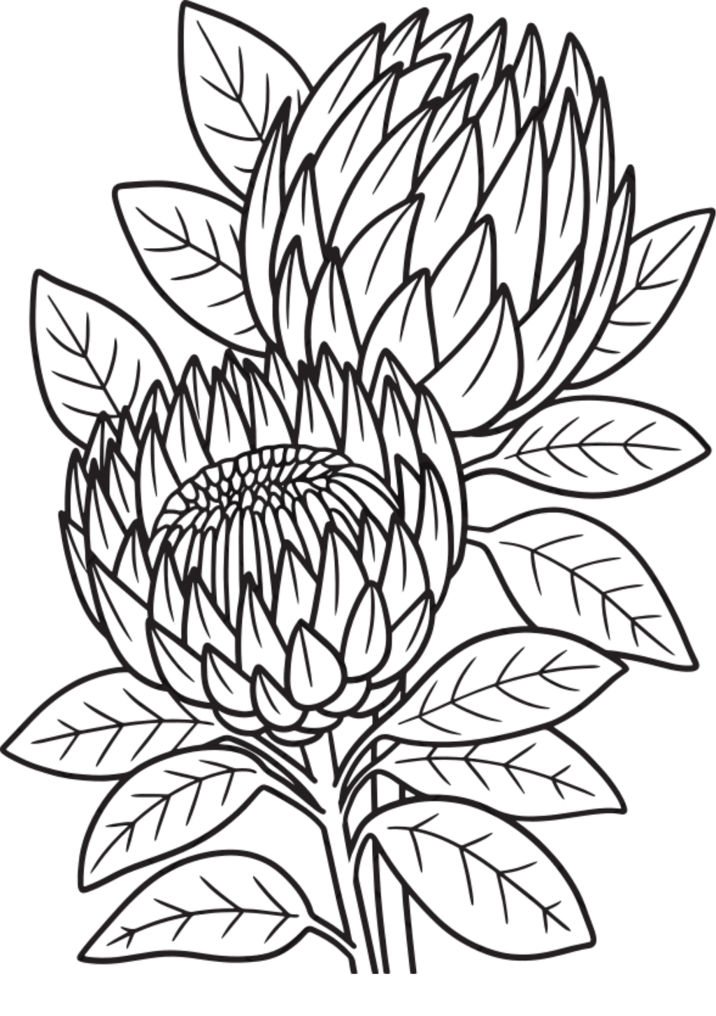 Vibrant Floral Coloring Set