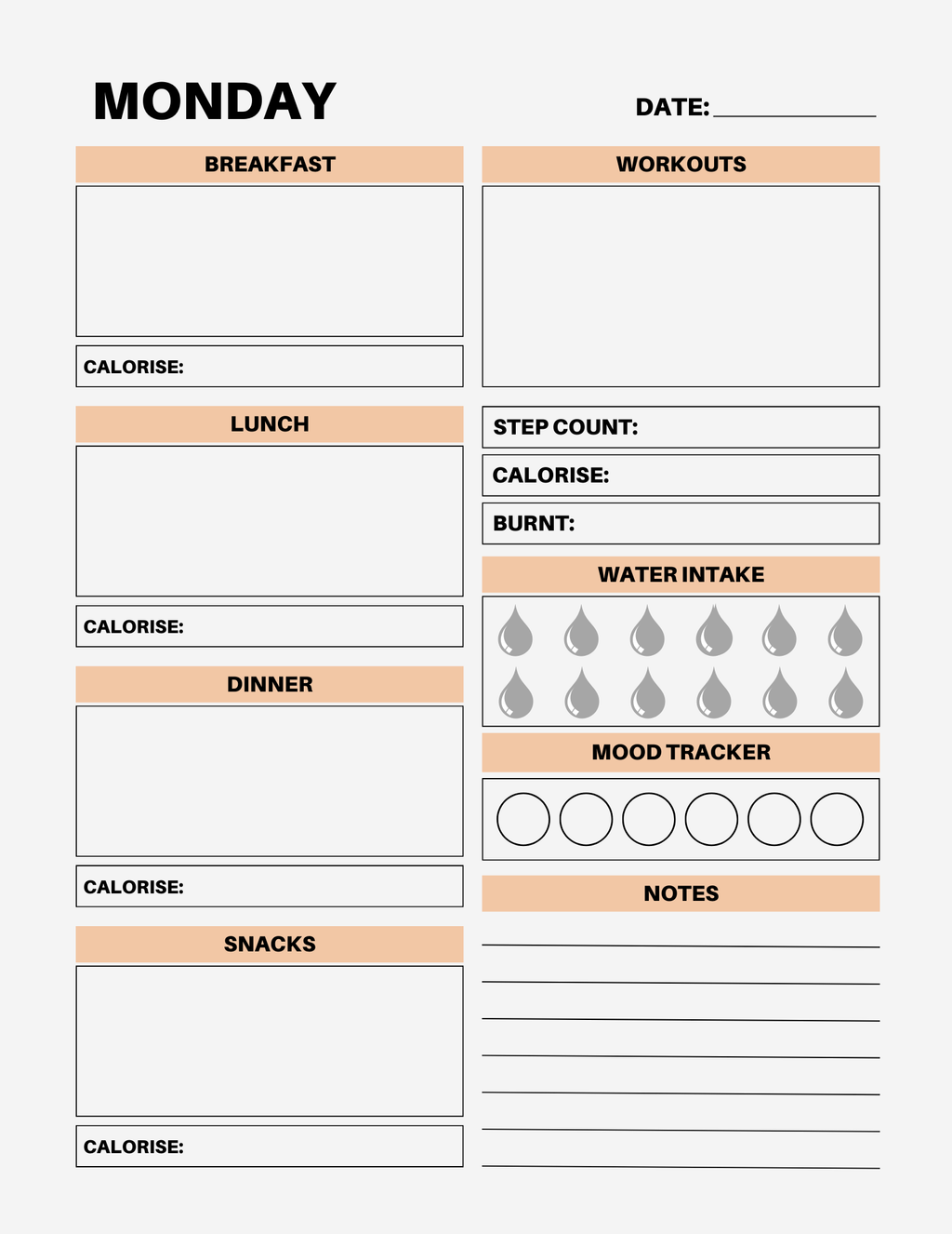 7 Day Color Food Diary