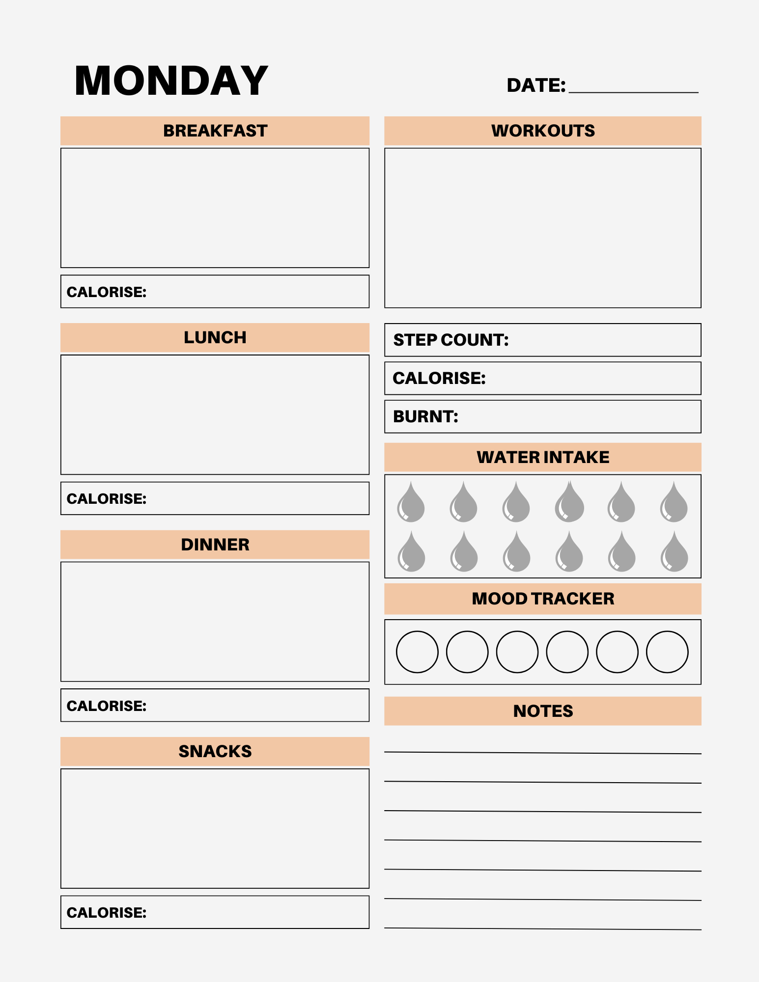 7 Day Color Food Diary