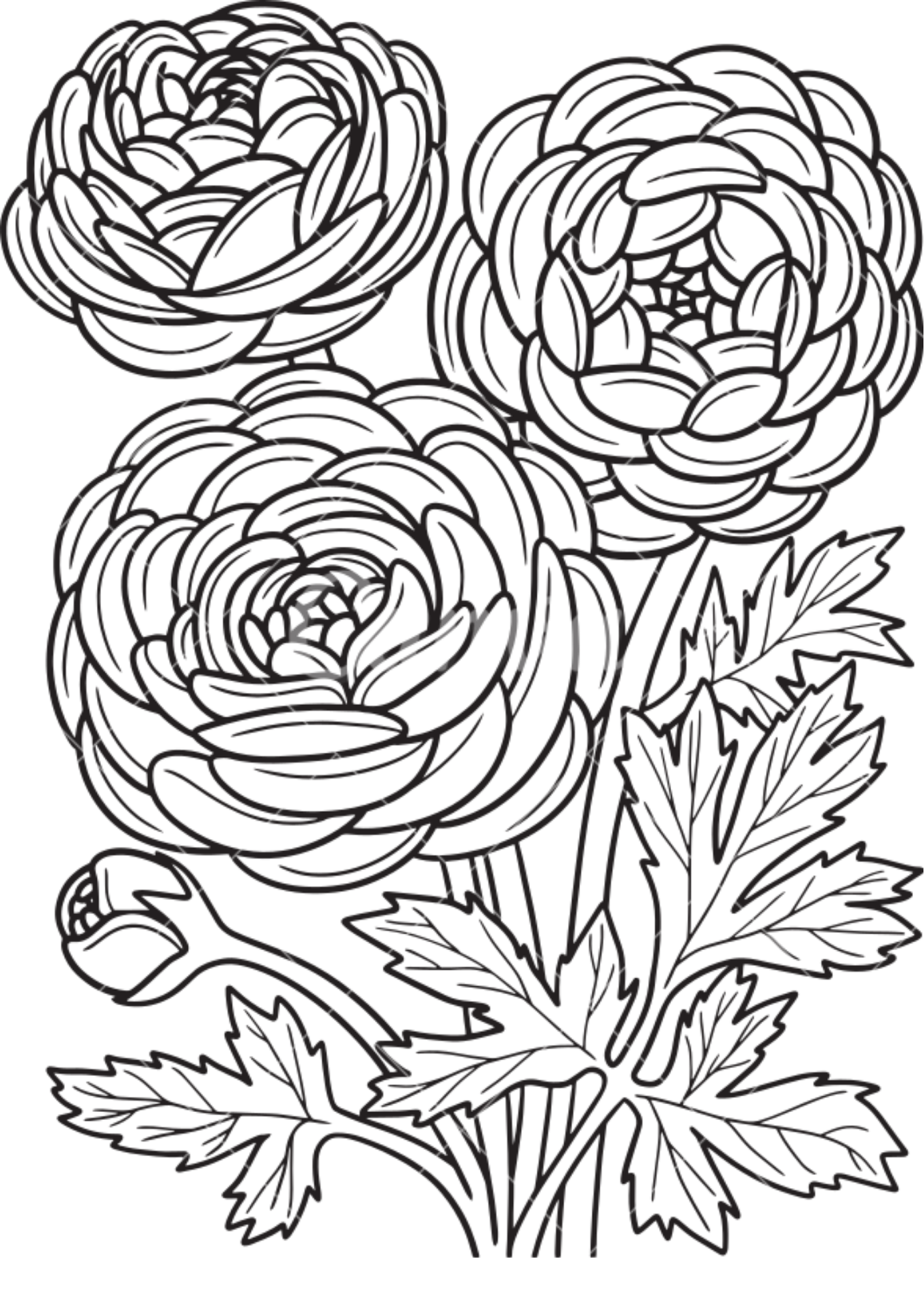 Vibrant Floral Coloring Set