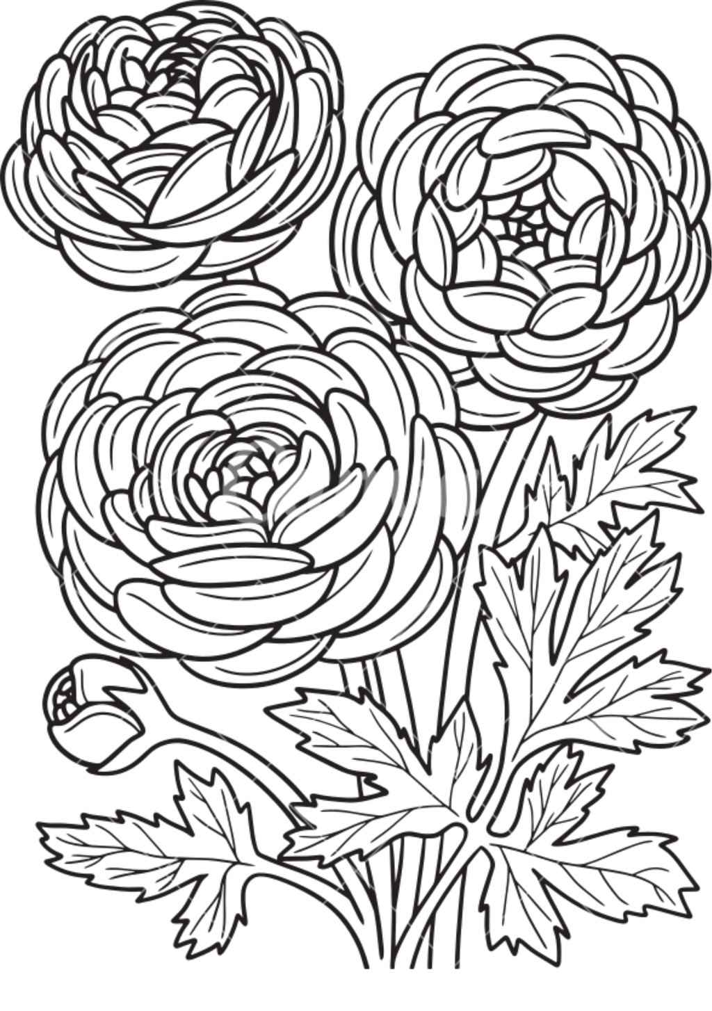Vibrant Floral Coloring Set