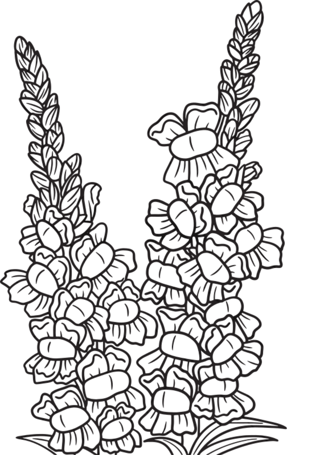 Vibrant Floral Coloring Set