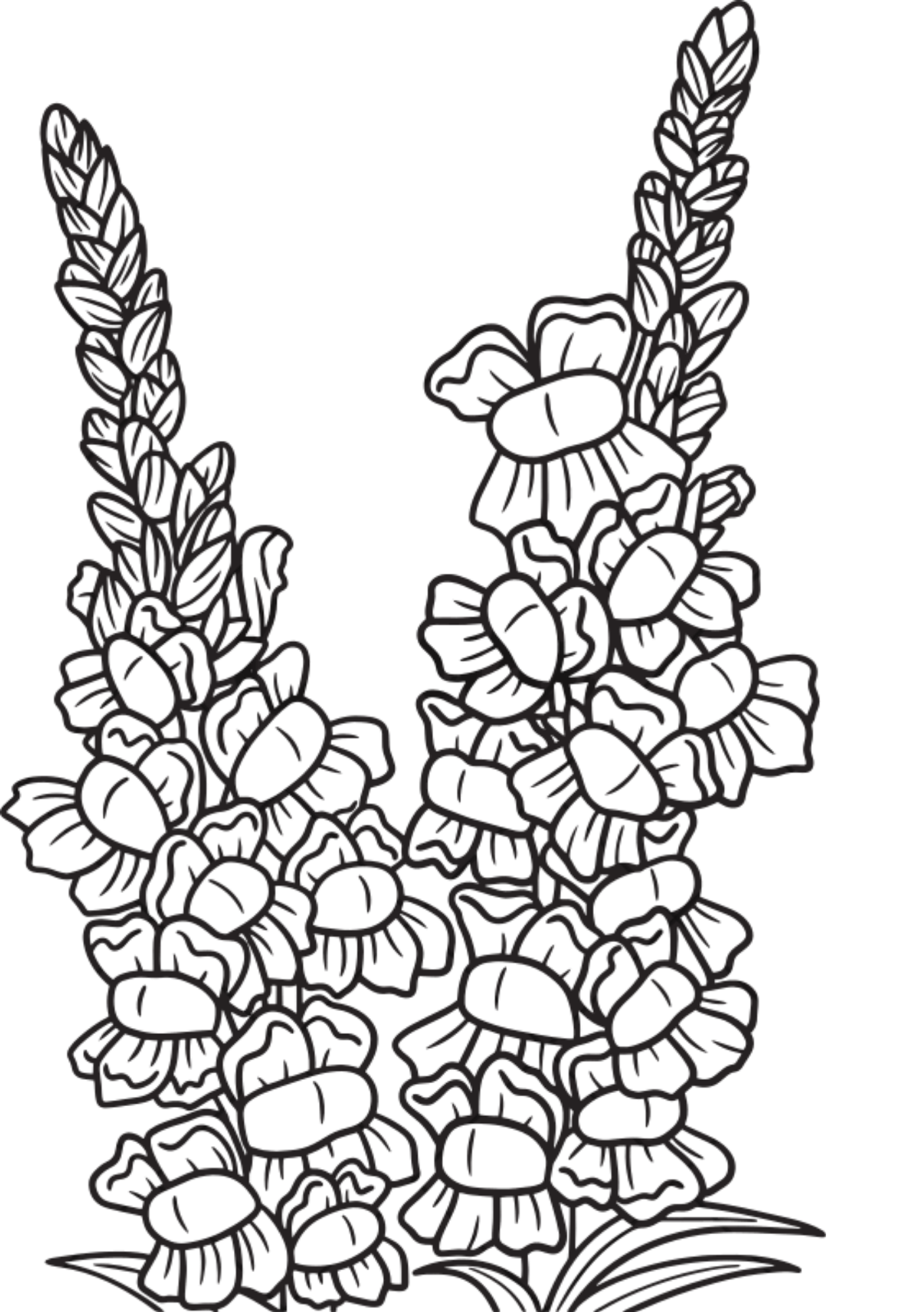 Vibrant Floral Coloring Set