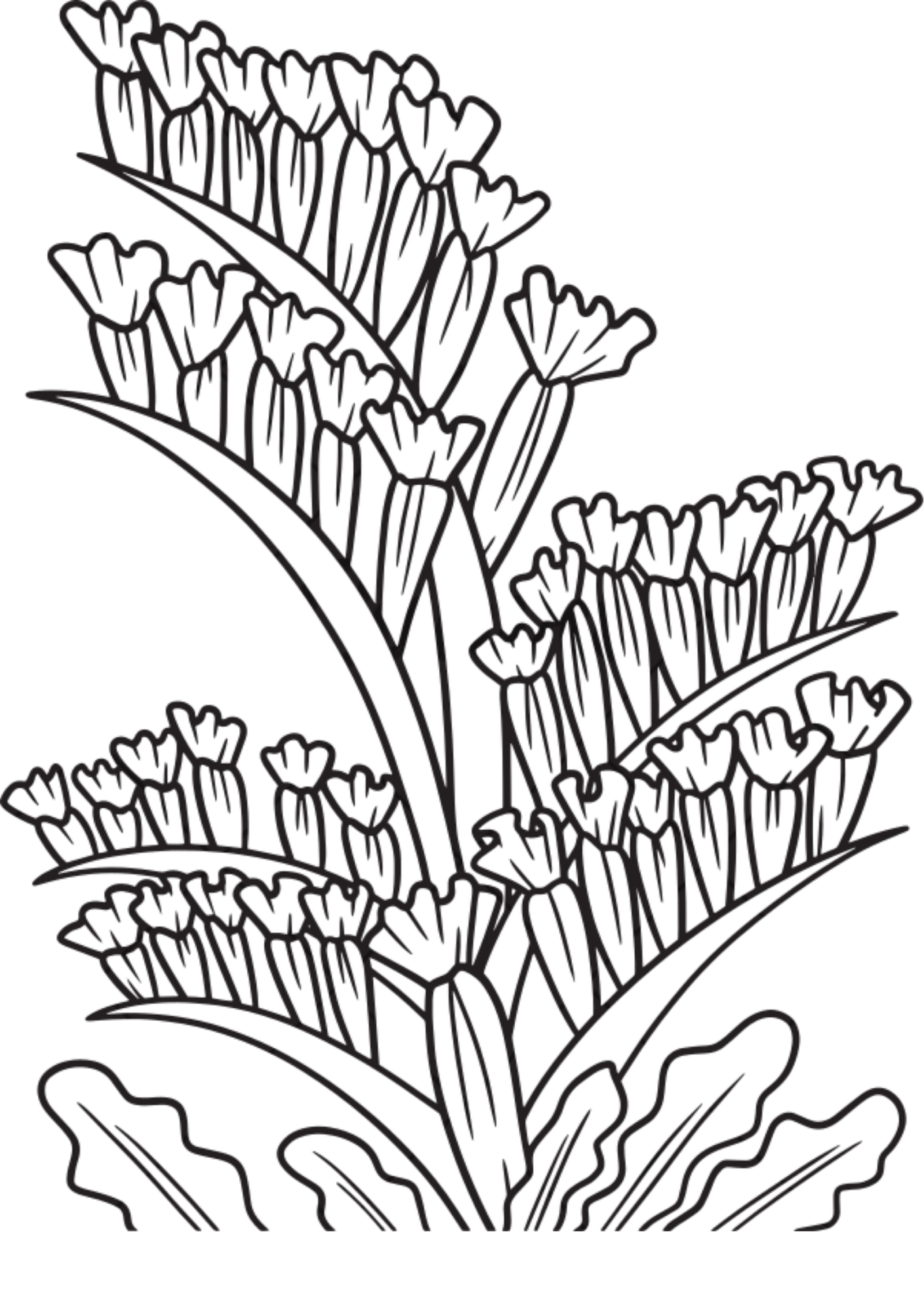 Vibrant Floral Coloring Set