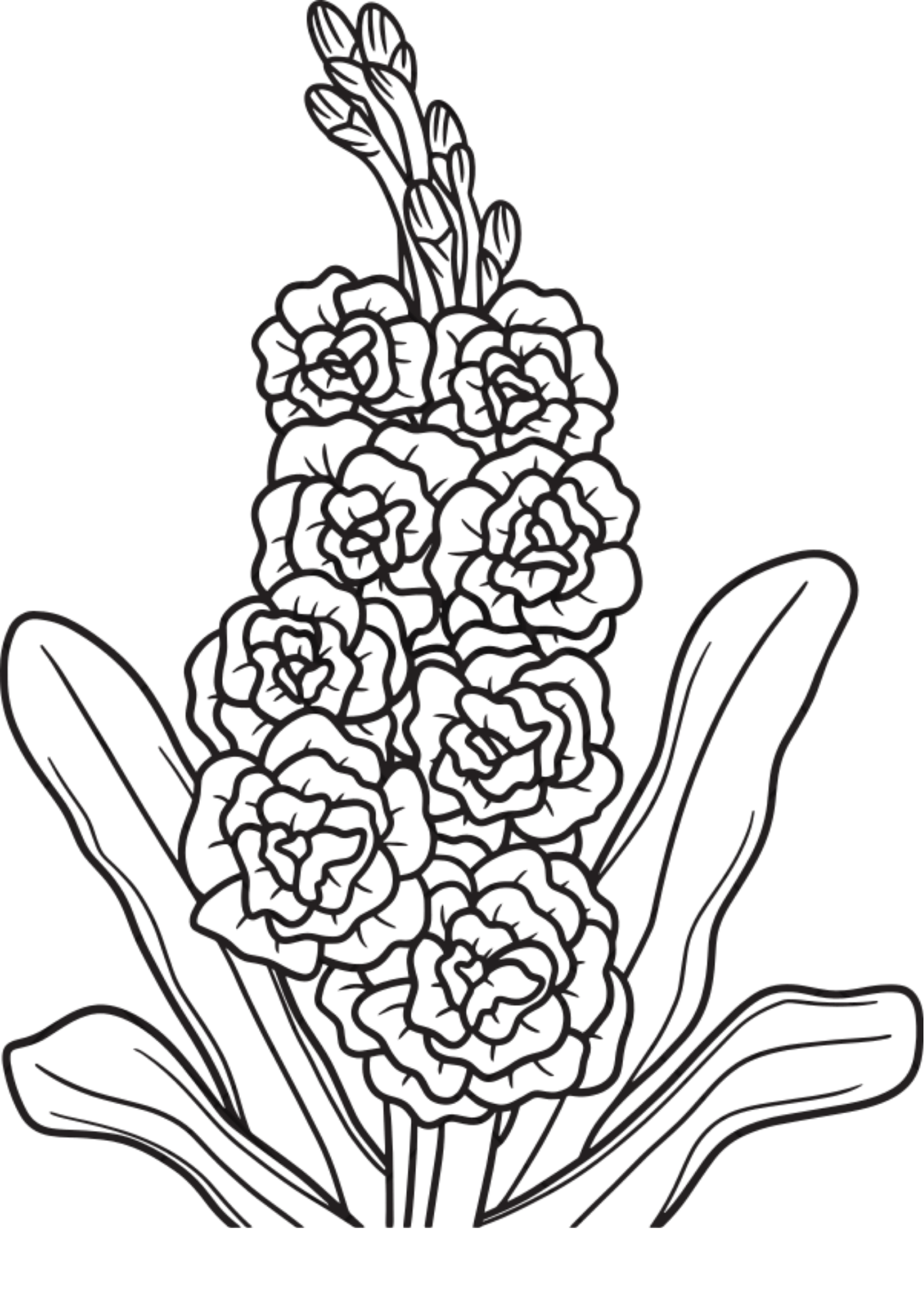 Vibrant Floral Coloring Set