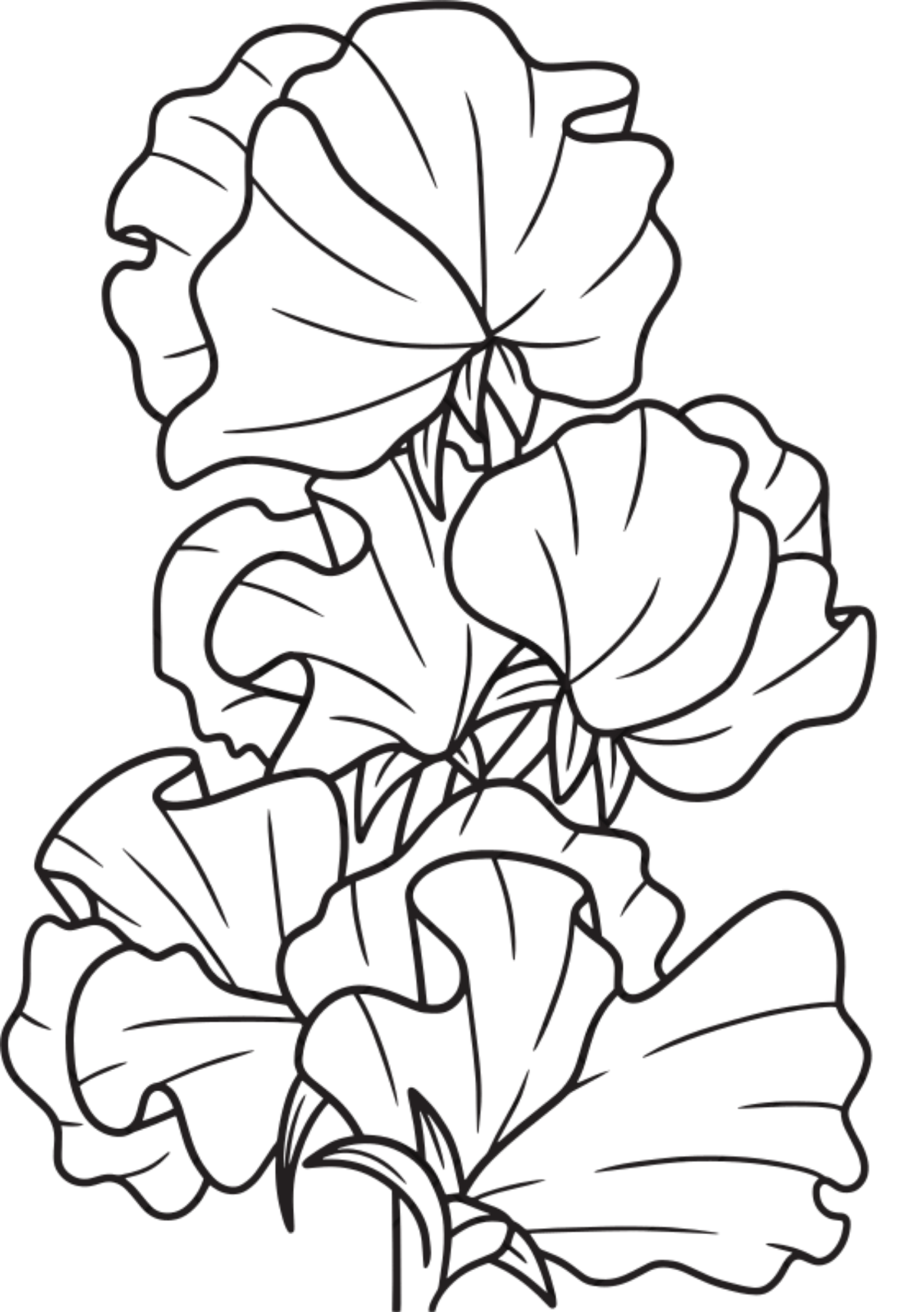 Vibrant Floral Coloring Set