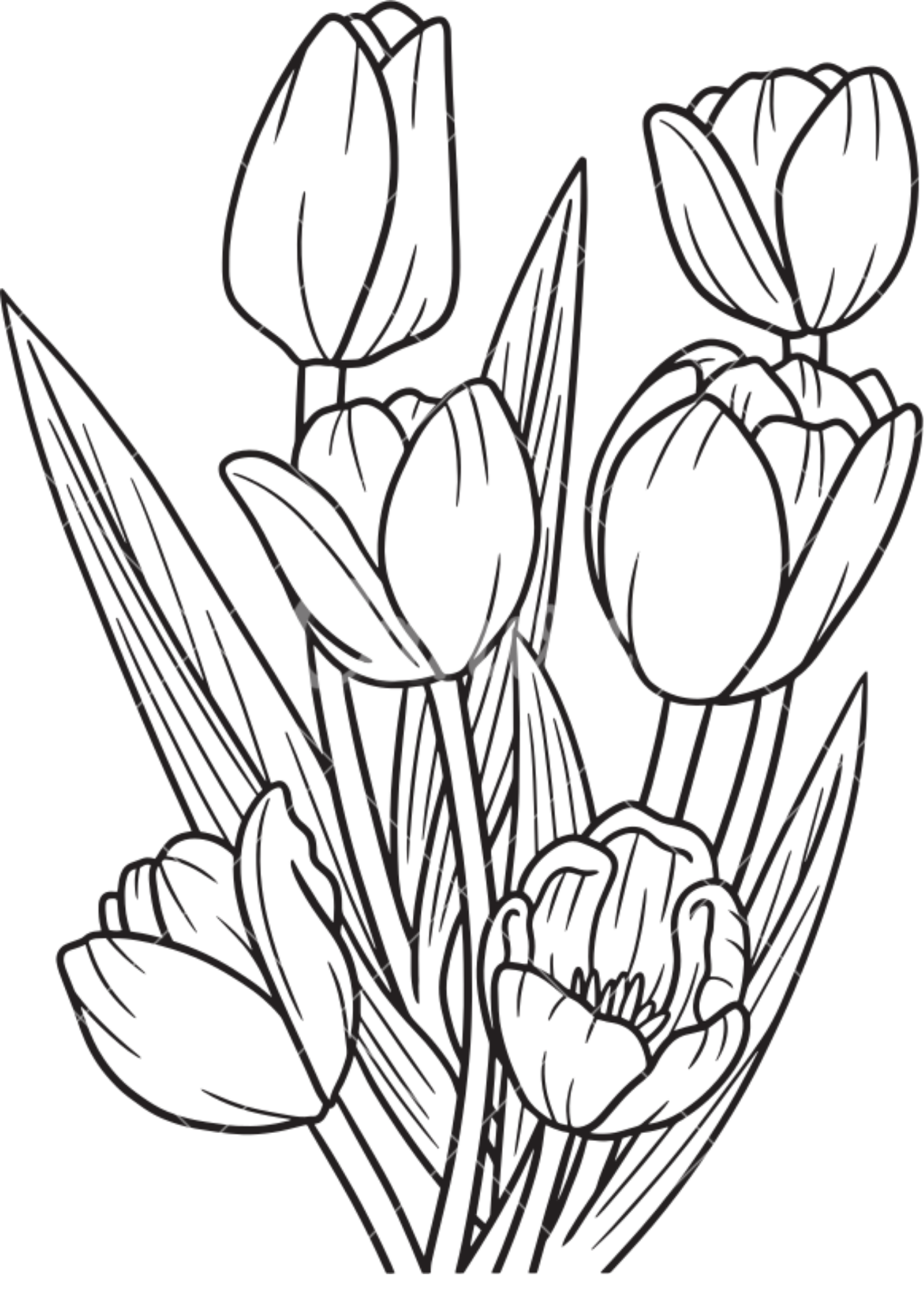 Vibrant Floral Coloring Set