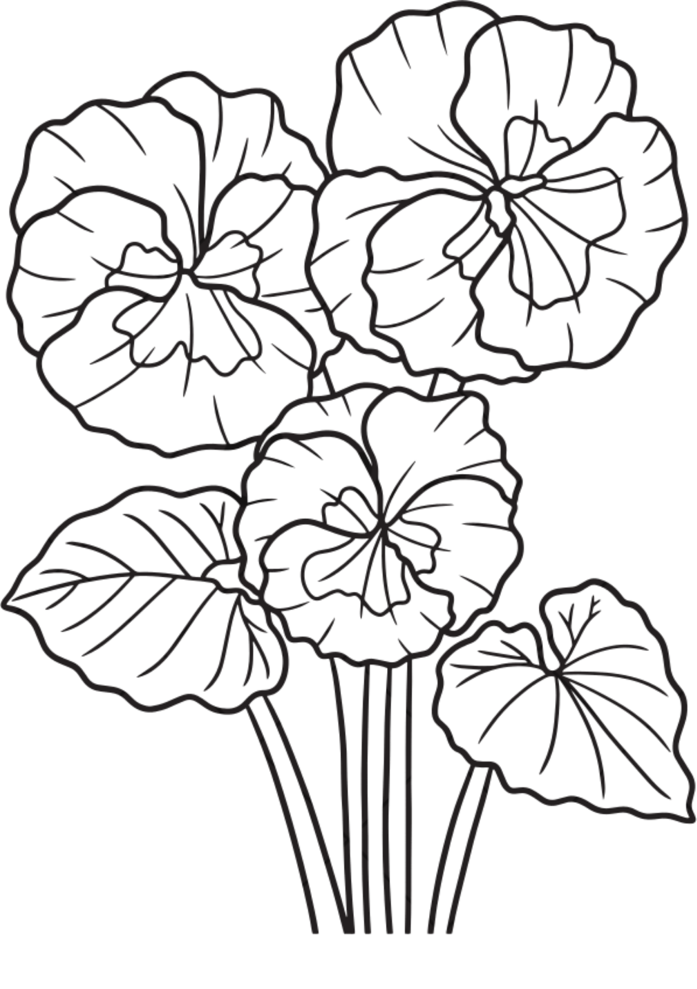 Vibrant Floral Coloring Set