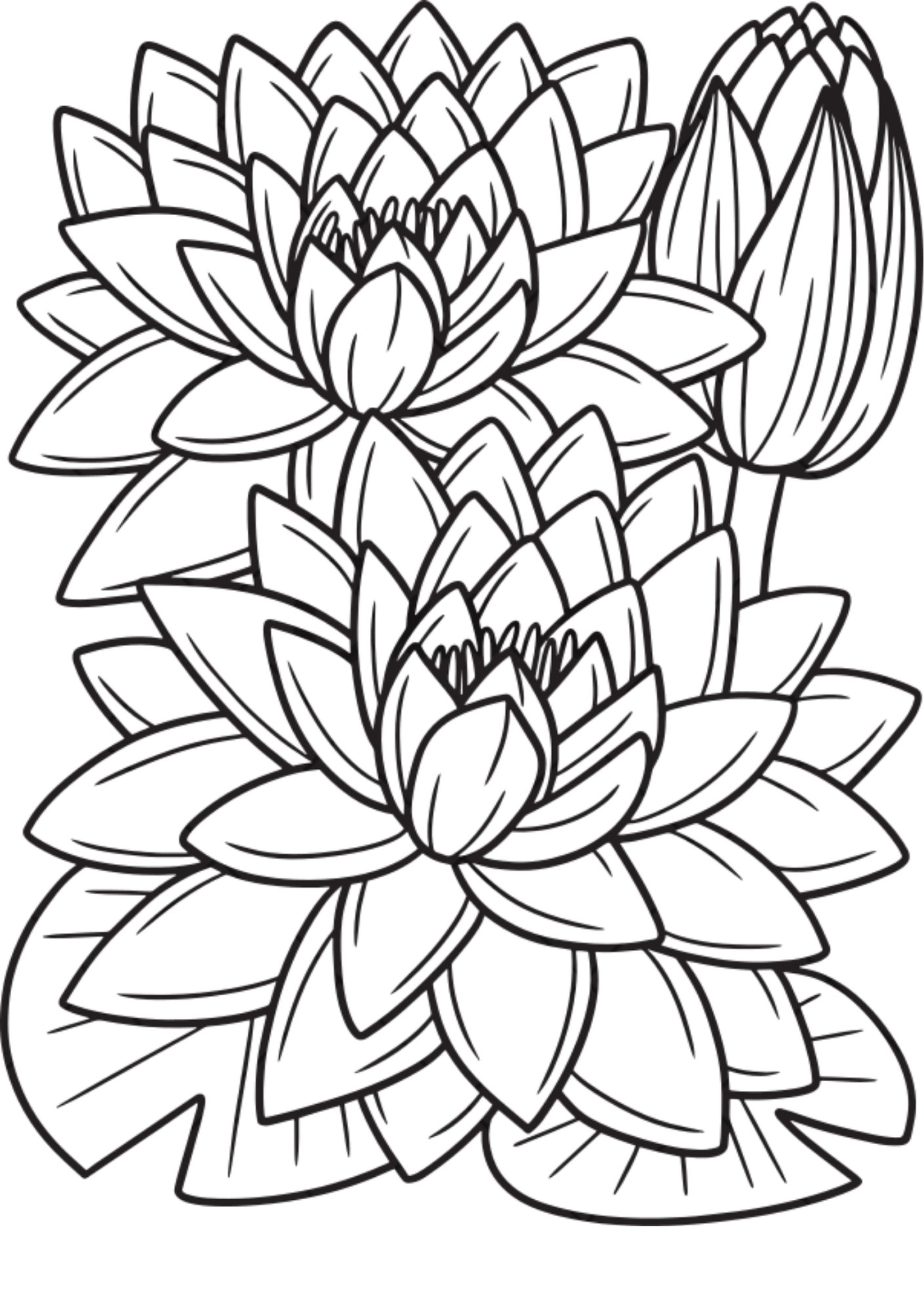 Vibrant Floral Coloring Set